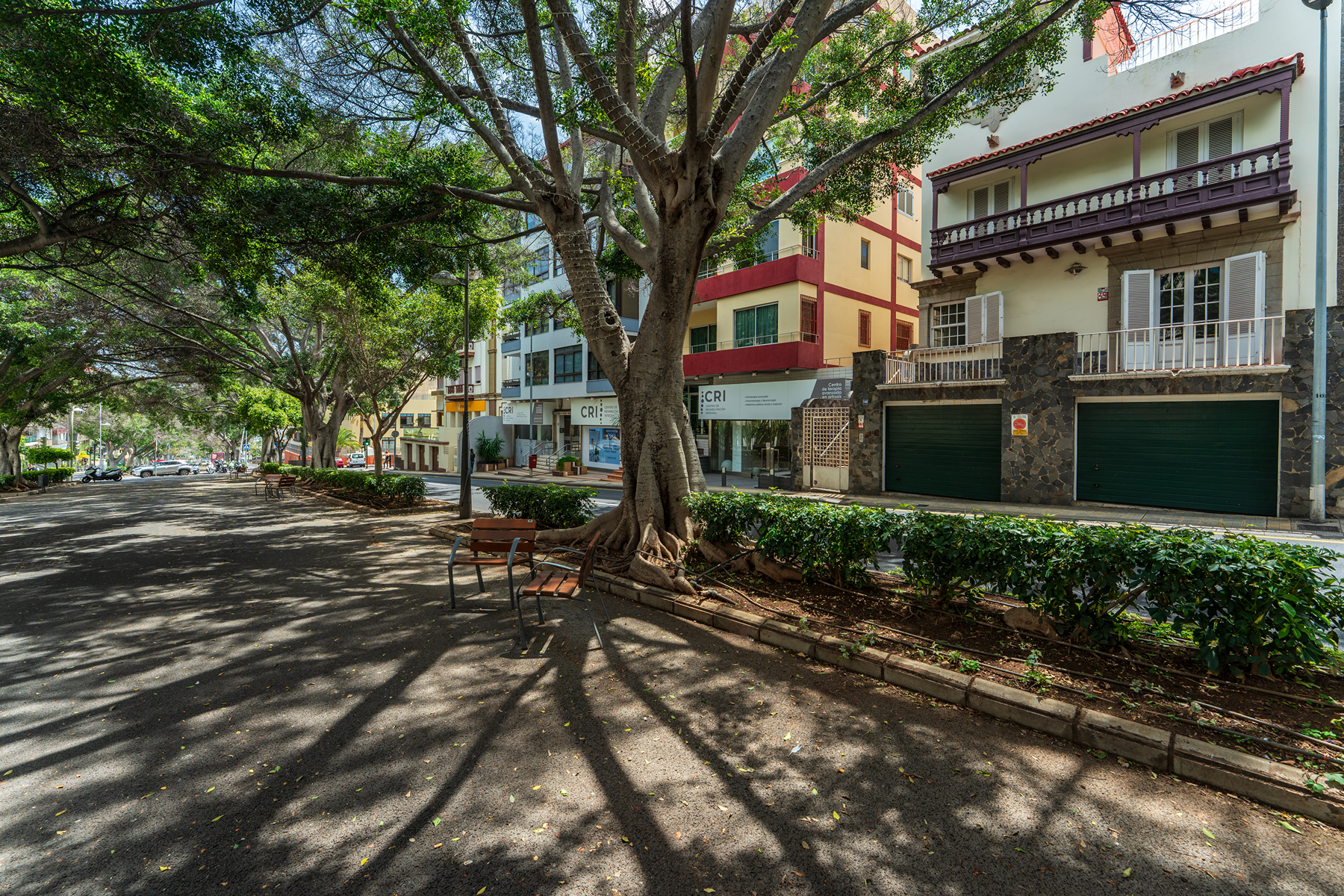  mansion to update in la rambla, santa cruz de tenerife - 物件實景