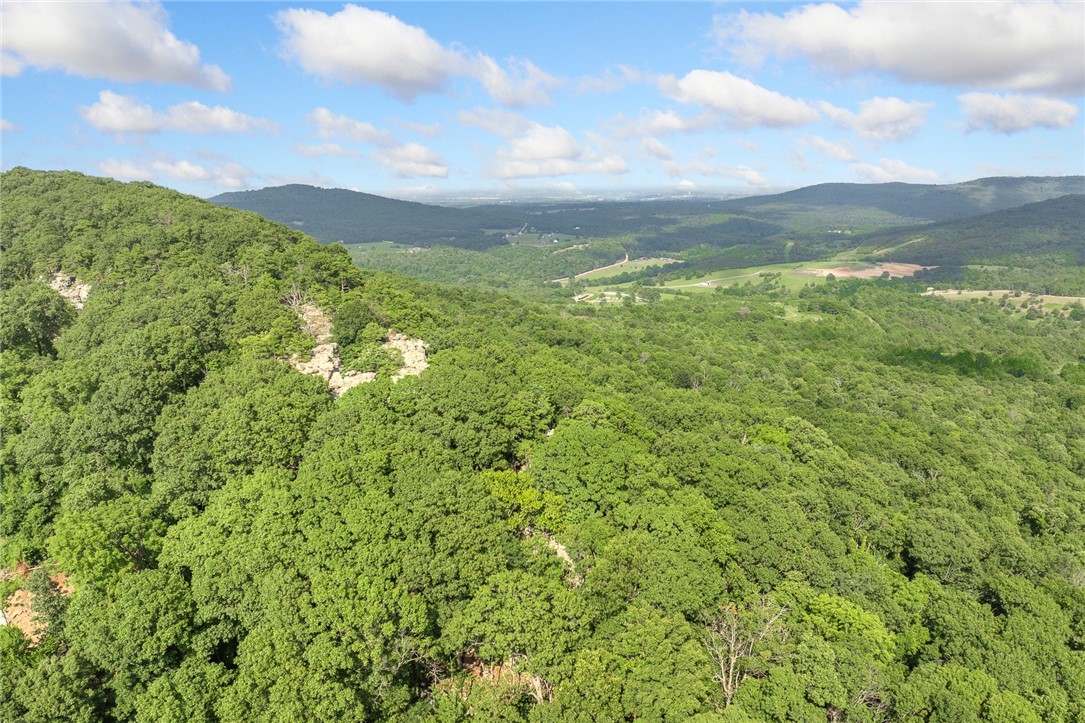 Harrison, Arkansas, 72601, United States, ,Land,For Sale,1903460