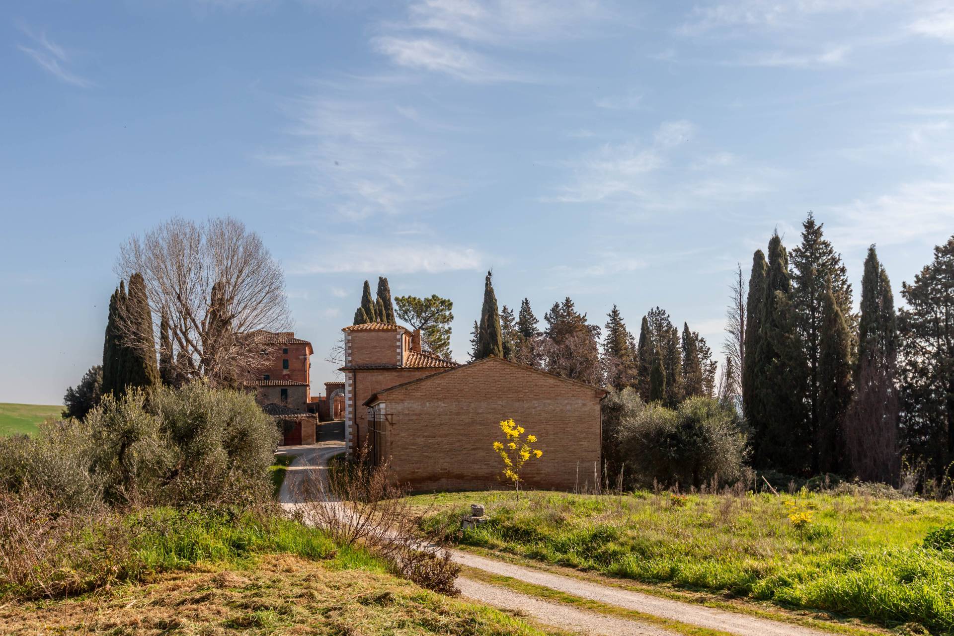 Asciano, Siena, 53041, IT, ,Residential,For Sale,1796877