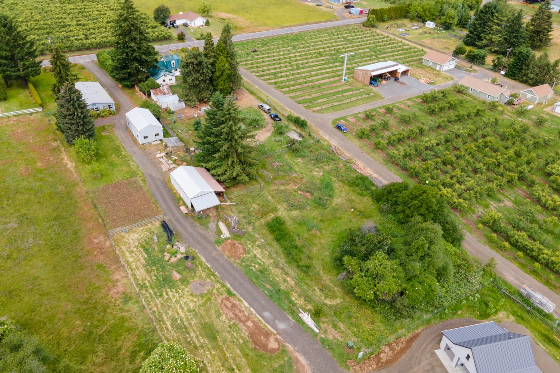  6455 TROUT CREEK RIDGE RD Mt Hood Prkdl, OR 97041 - 物件實景