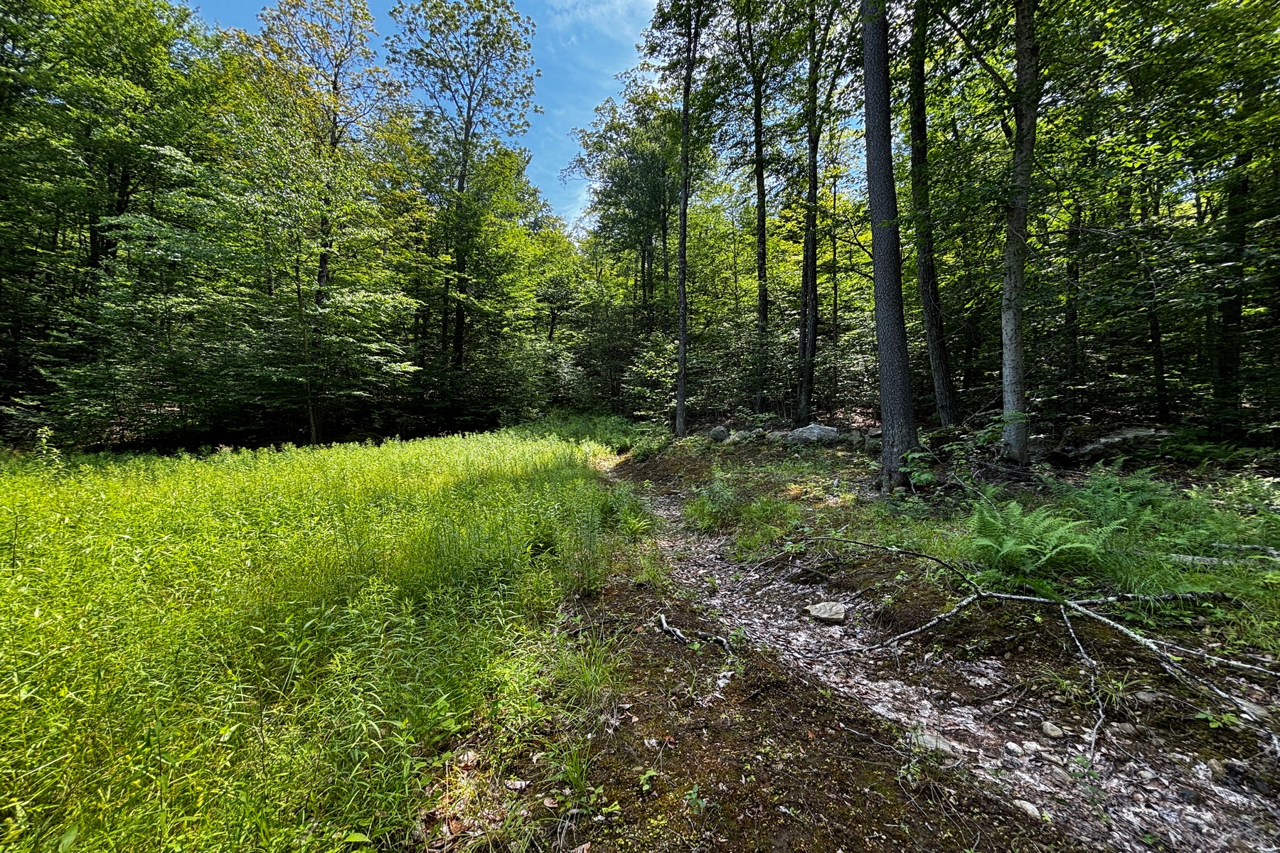  27 acres with close to Chester Village and Skiing - 物件實景