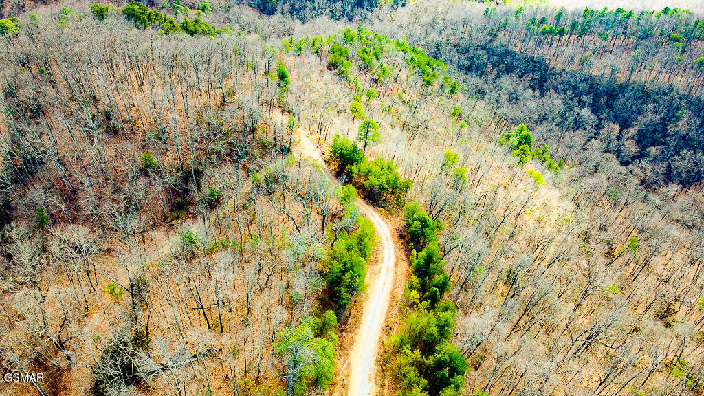 Sevierville, Tennessee, 37876, United States, ,Land,For Sale,2009102