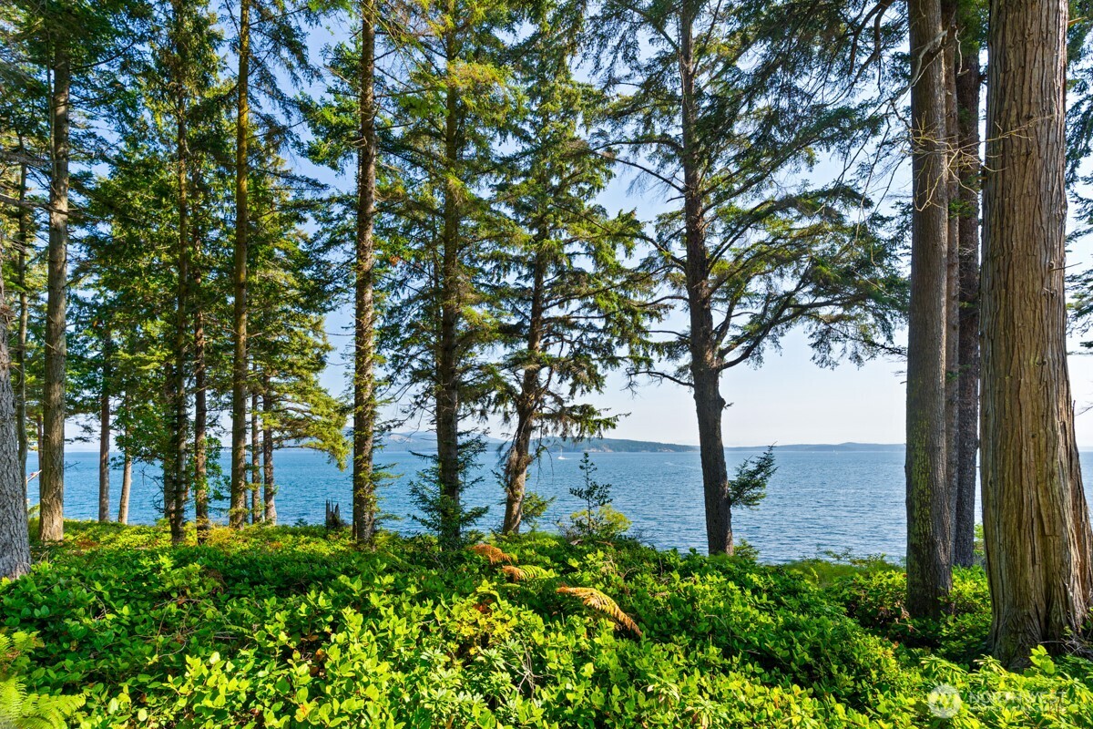 Friday Harbor, Washington, 98250, United States, ,Land,For Sale,1991261