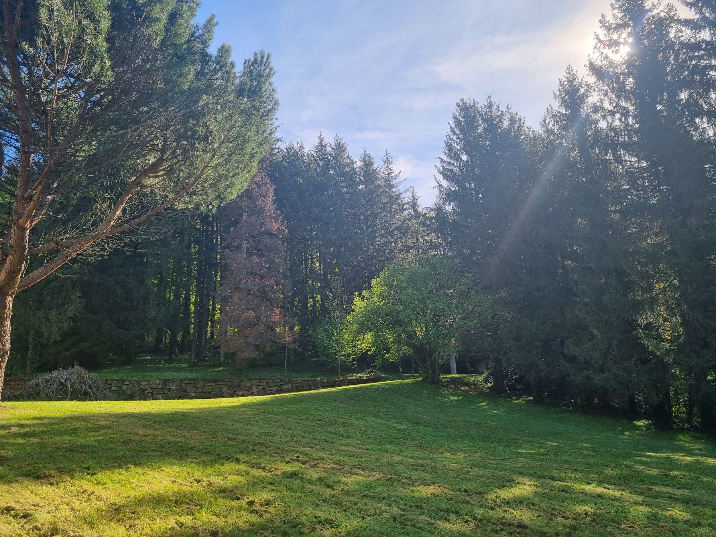  ALBI (30 MIN) - MANSION - 552 M2 - LAND 4 HA - 物件實景