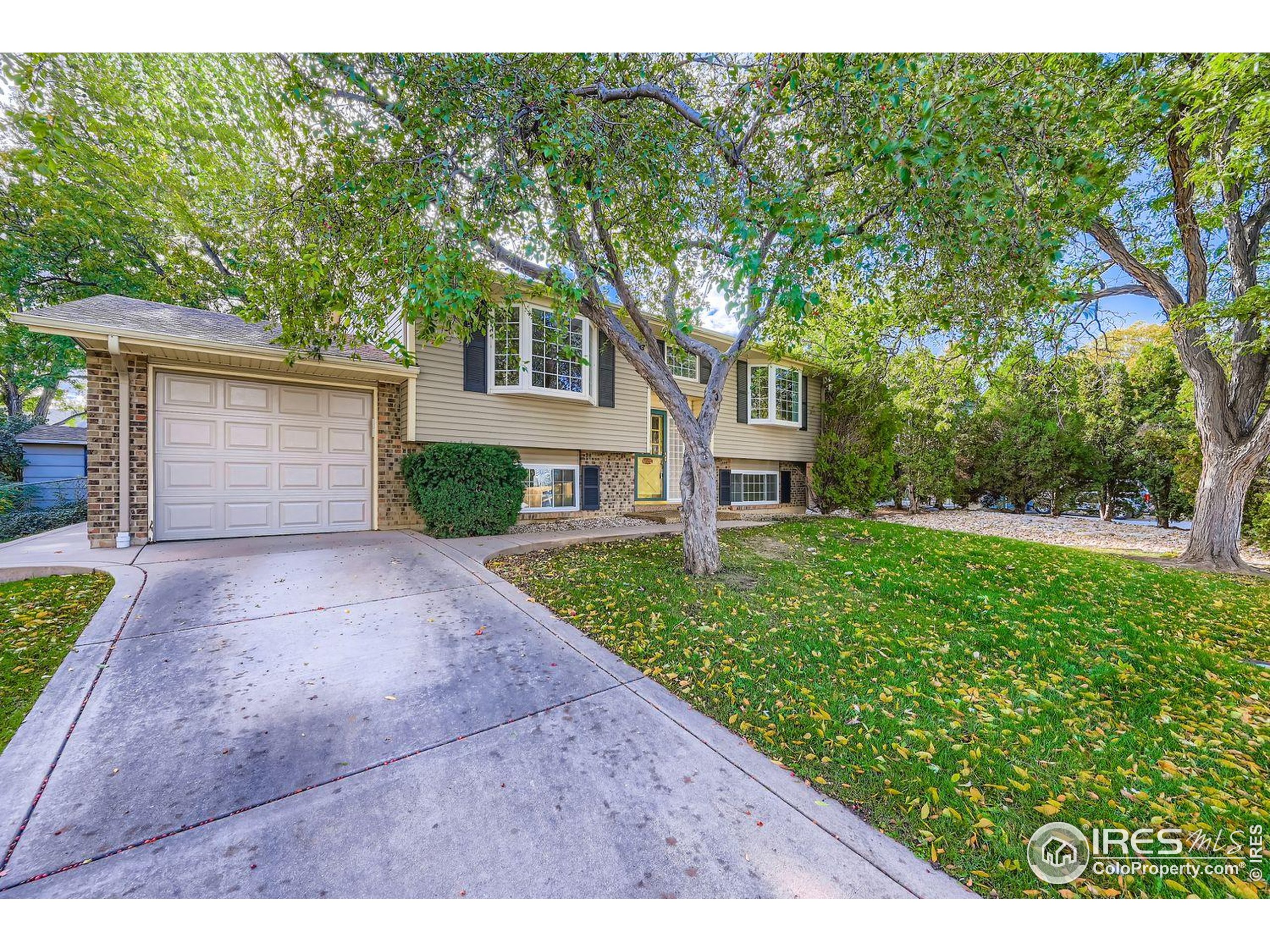 Longmont, Colorado, 80501, United States, 4 Bedrooms Bedrooms, ,2 BathroomsBathrooms,Residential,For Sale,1994687