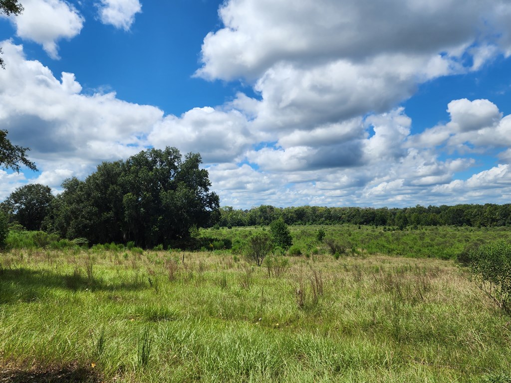 Pansey, Alabama, 36370, United States, 3 Bedrooms Bedrooms, ,3 BathroomsBathrooms,Residential,For Sale,1943922