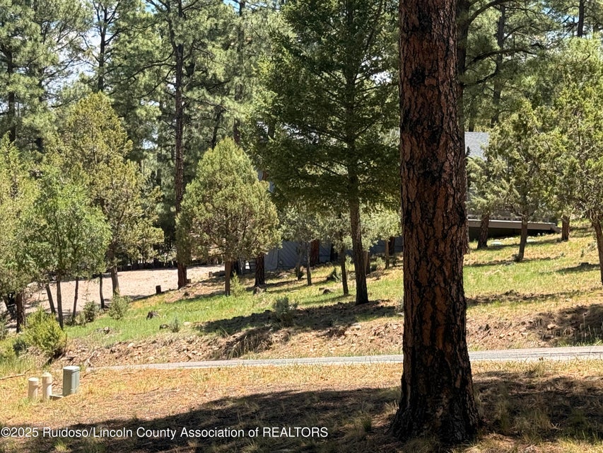 Alto, New Mexico, 88312, United States, 3 Bedrooms Bedrooms, ,4 BathroomsBathrooms,Residential,For Sale,1975387