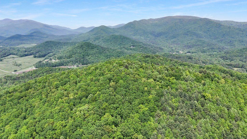 Blairsville, Georgia, 30512, United States, ,Residential,For Sale,1824066