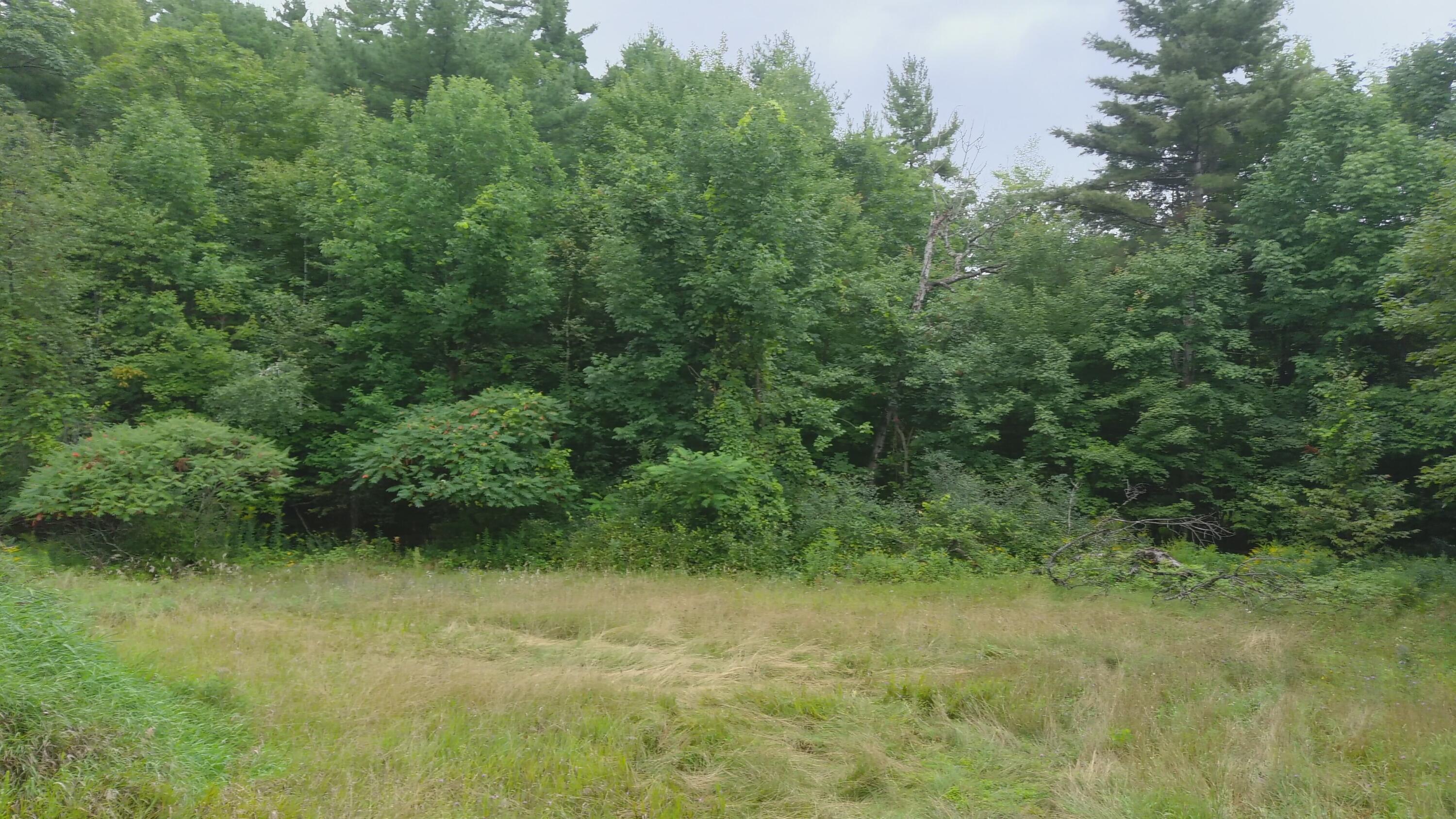 358 Buck Hill Road, Black Brook, New York, 12912, United States, ,Land,For Sale,358 Buck Hill Road,1668250