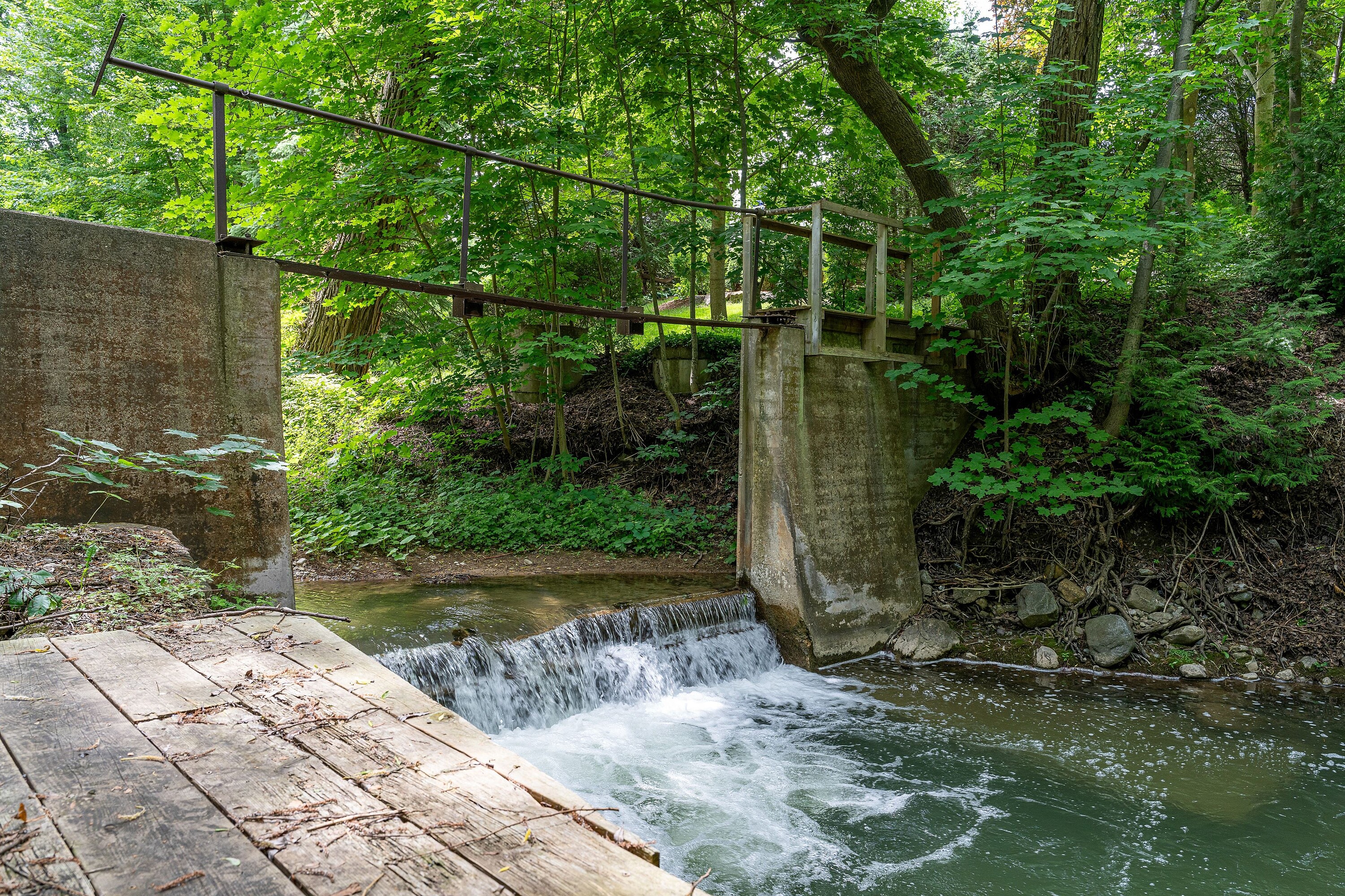  1.77-Acre Sanctuary - 物件實景