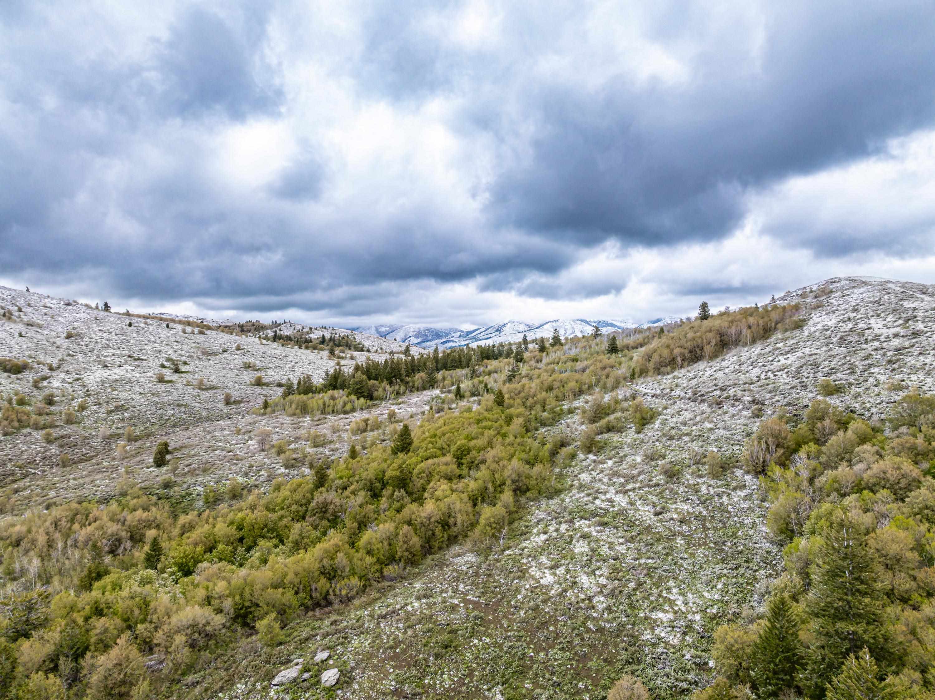Pocatello, Idaho, 83202, United States, ,Residential,For Sale,1900816