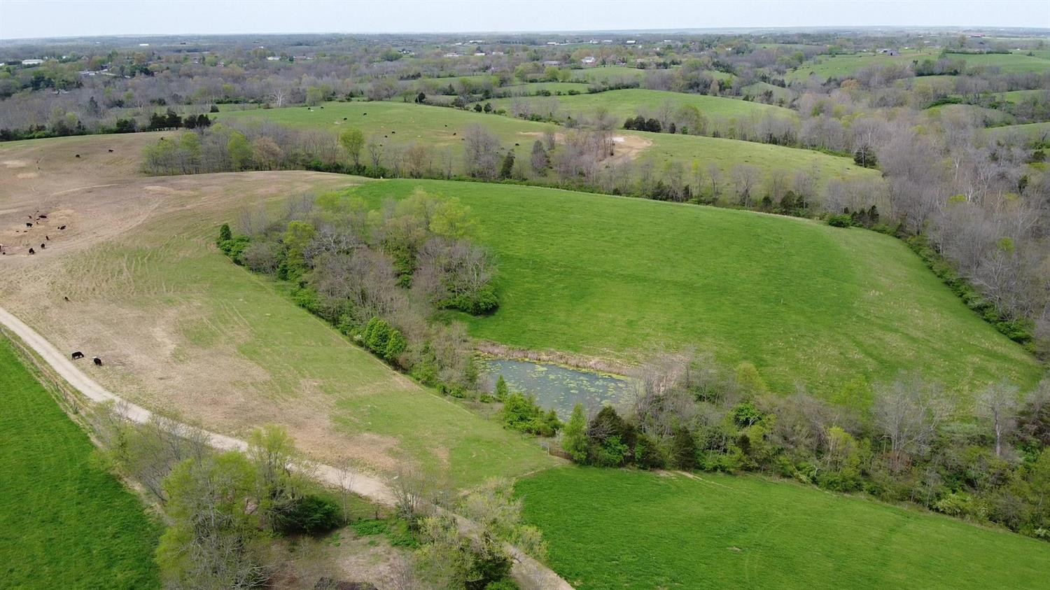 1400 Curtis Pike, Richmond, Kentucky, 40475, United States, ,Land,For Sale,1400 Curtis Pike,1616978