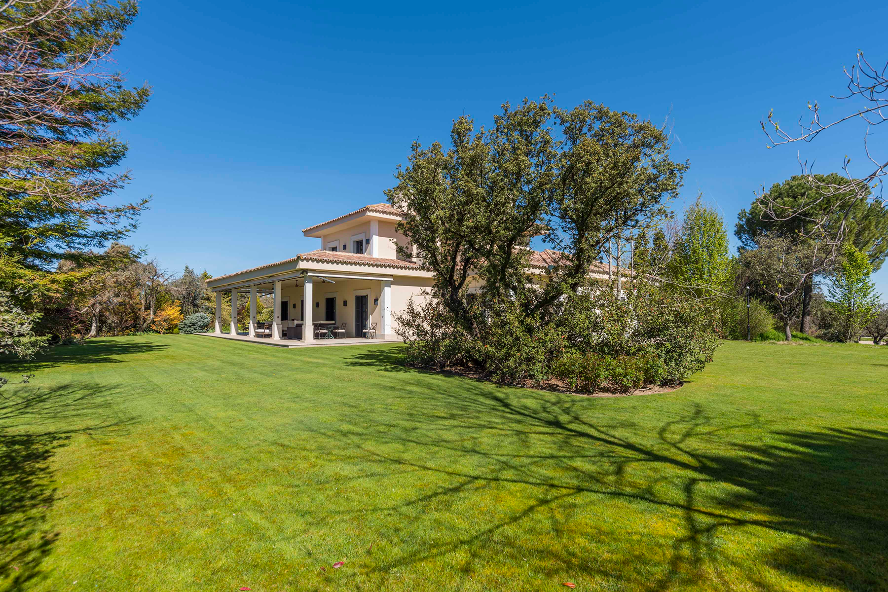  Equestrian estate: Elegance, nature, and horses at the gates of Madrid - 物件實景