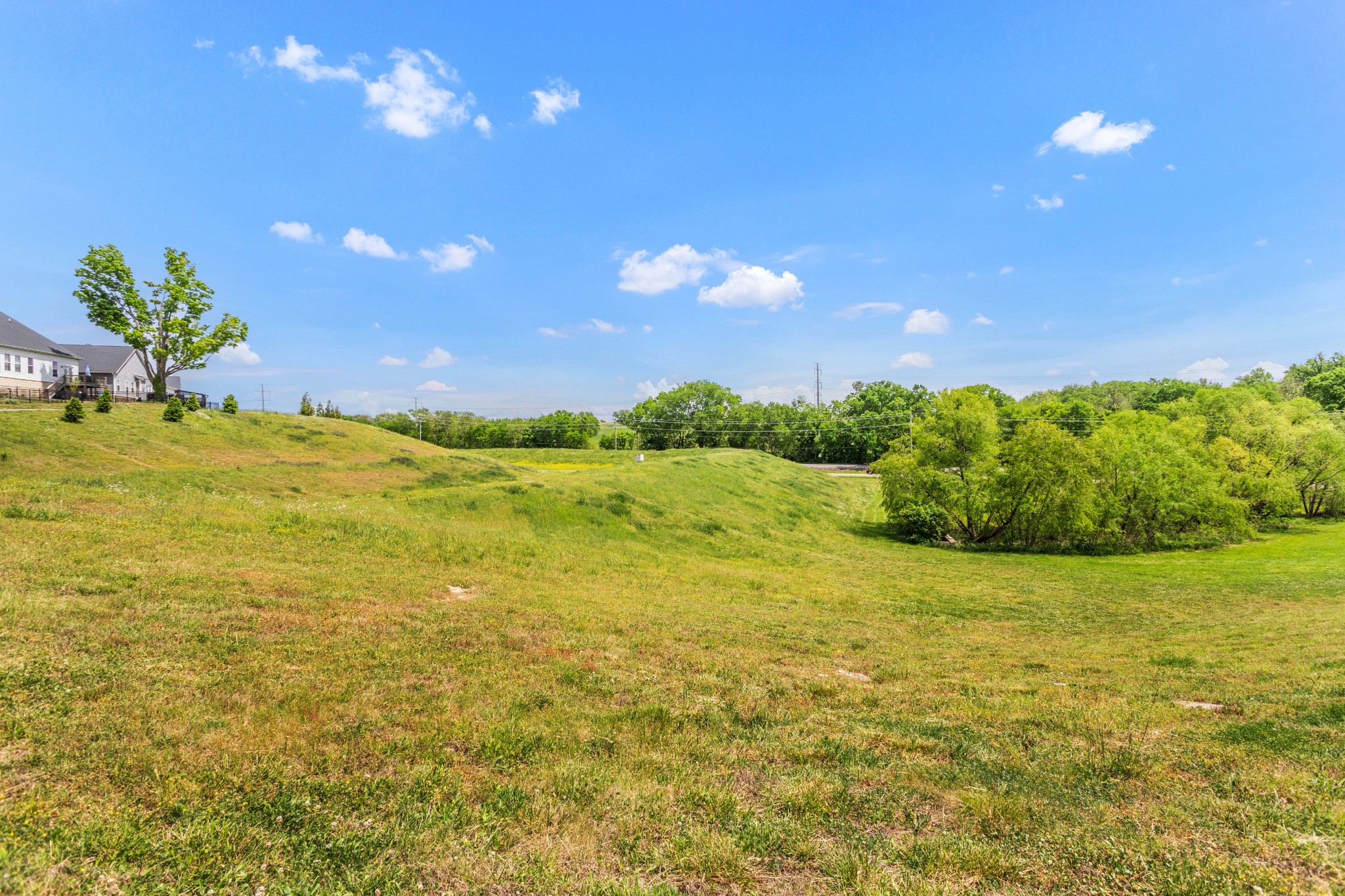  928 Carraway Ln, Spring Hill, TN, 37174 - 物件實景