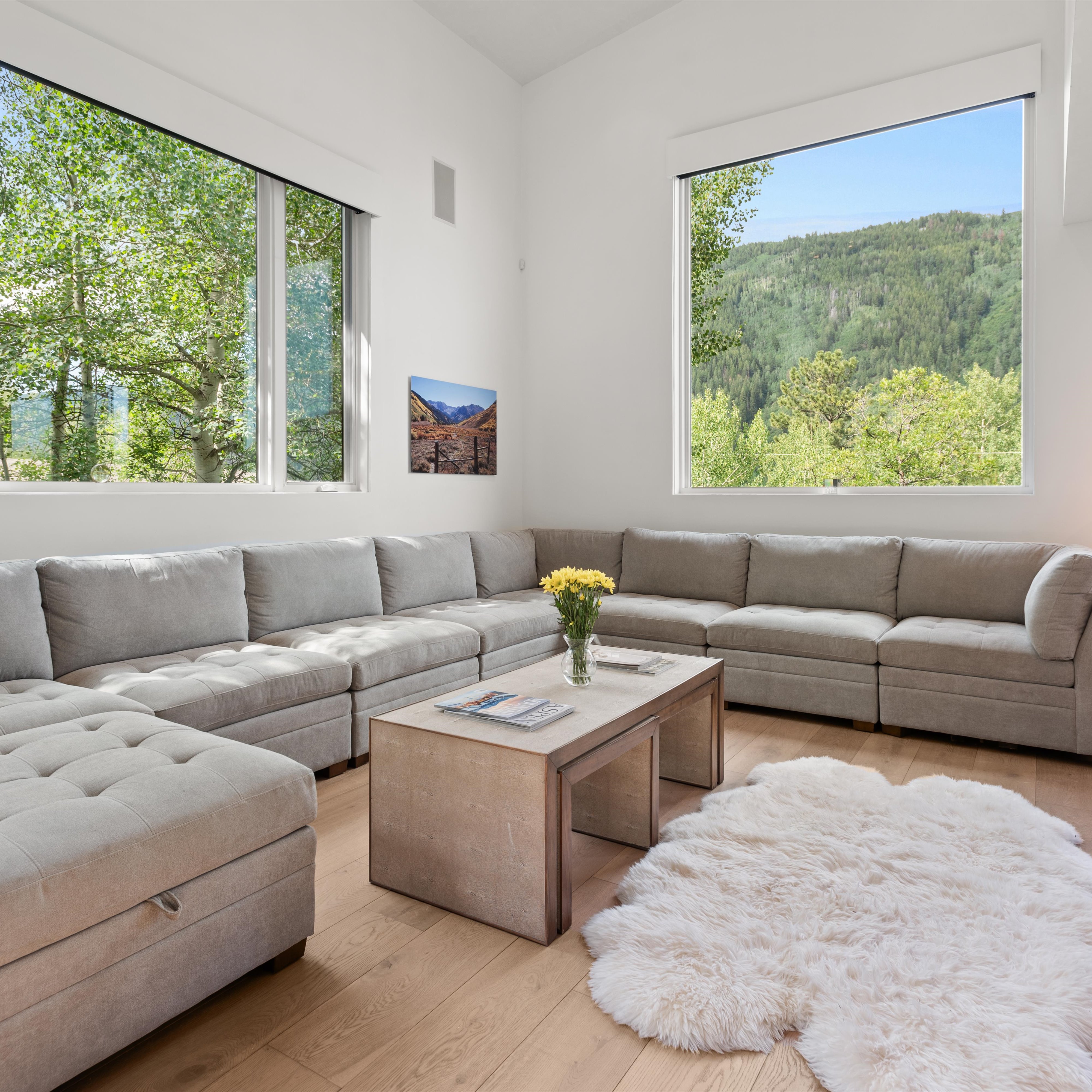  257 Mountain Laurel Drive, Aspen, CO, 81611 - 物件實景