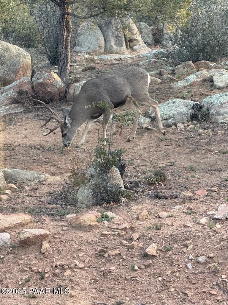 Prescott, Arizona, 86303, United States, 2 Bedrooms Bedrooms, ,2 BathroomsBathrooms,Residential,For Sale,1991251