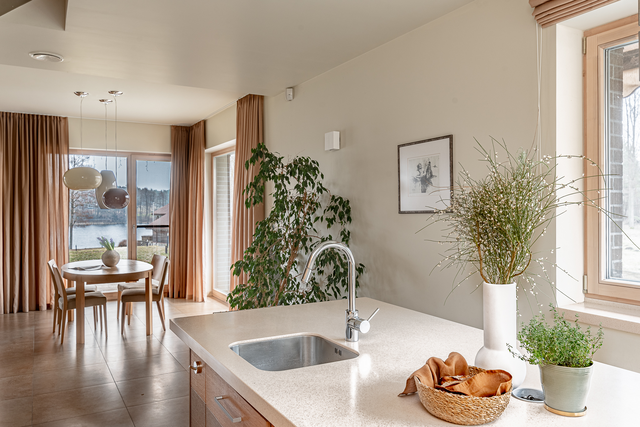  A spacious lakeshore residence near Druskininkai - 物件實景