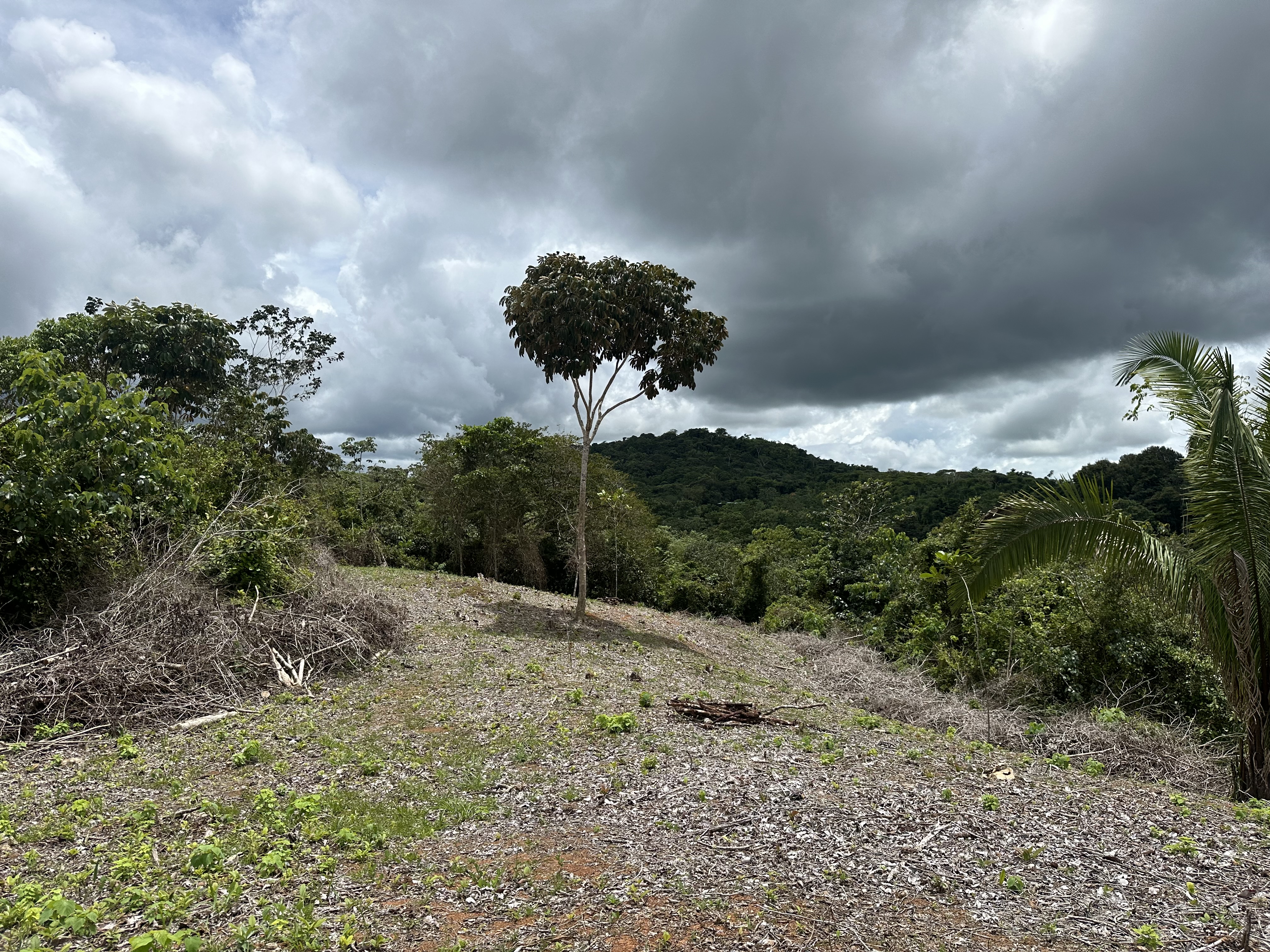 Palmar Norte, Palmar, Puntarenas, CR, ,Land,For Sale,Palmar Norte,1667866