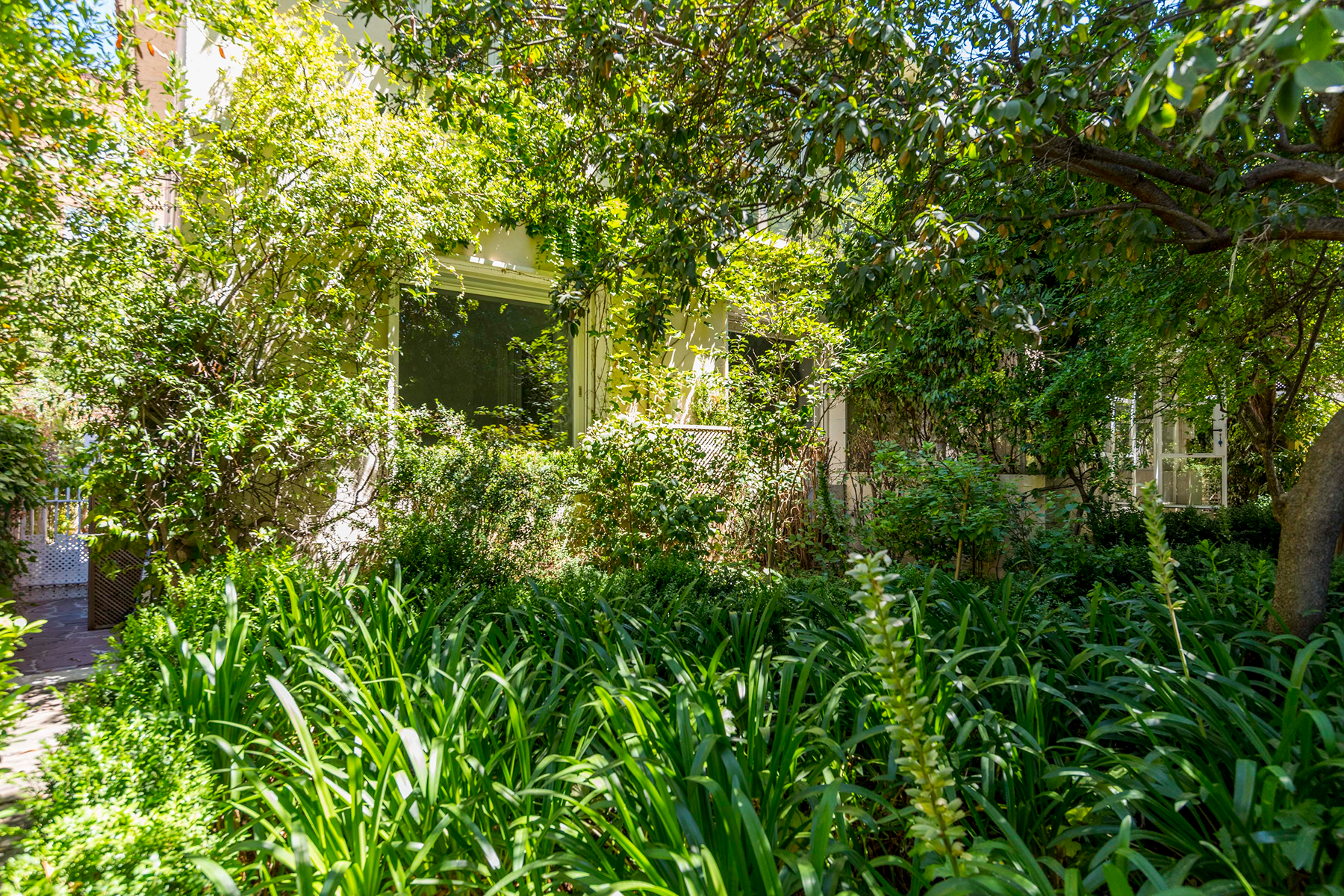  House with garden and private pool in El Viso. - 物件實景