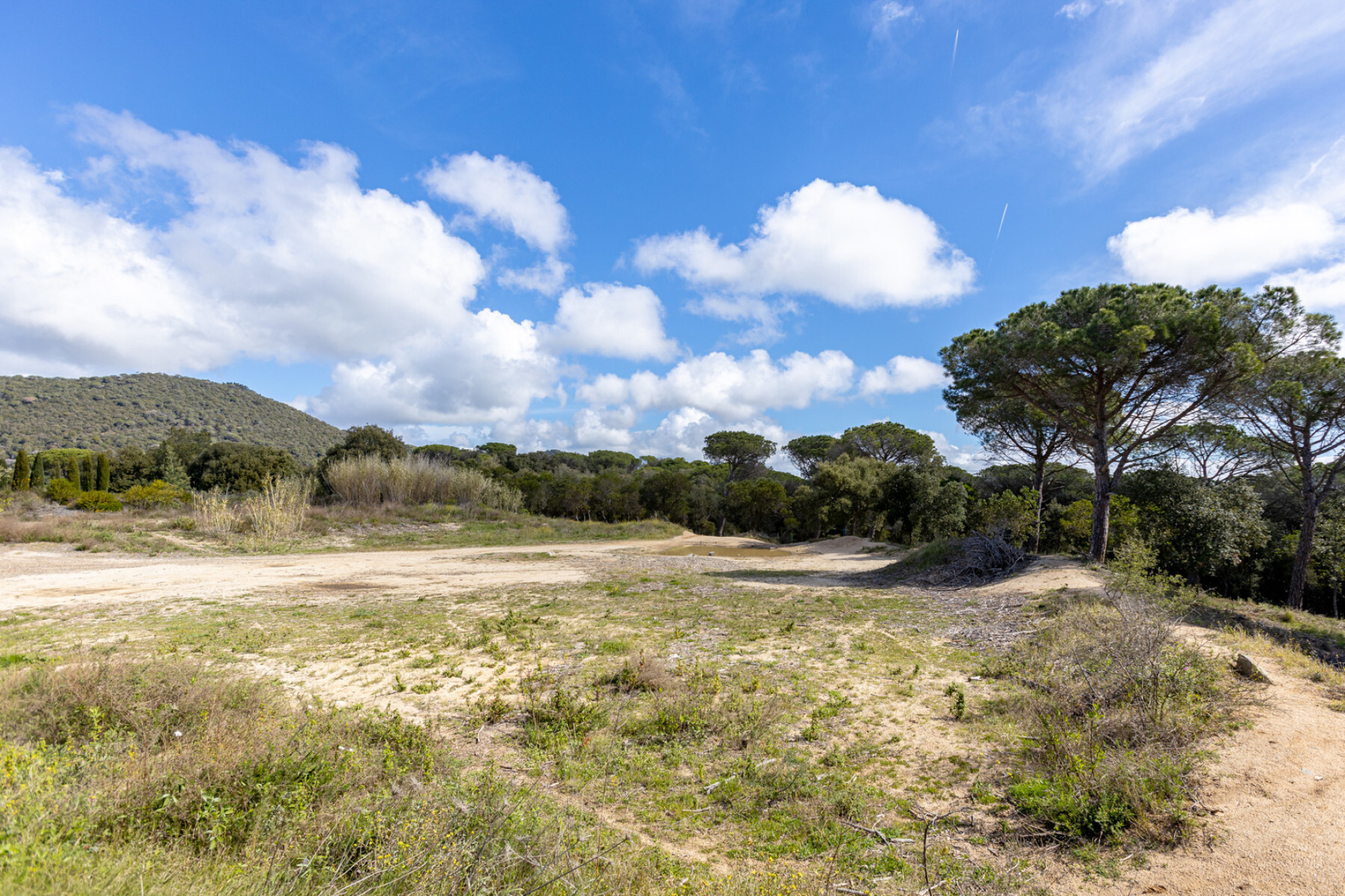  Urban land plus forest in Supermaresme - Costa BCN - 物件實景