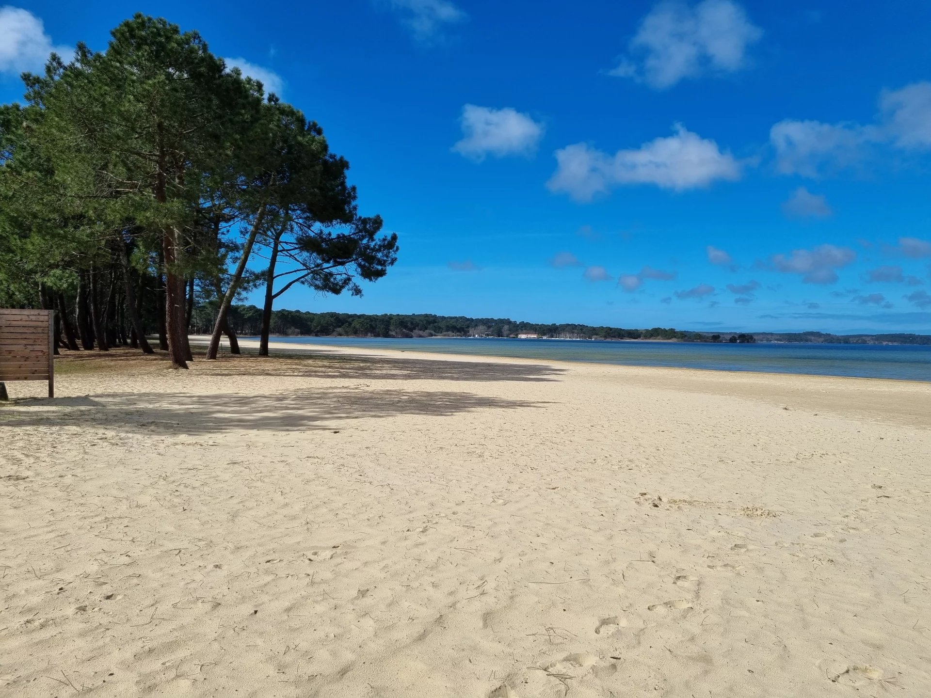 Biscarrosse, New Aquitaine, 40600, FR, 5 Bedrooms Bedrooms, ,8 BathroomsBathrooms,Residential,For Sale,1668952