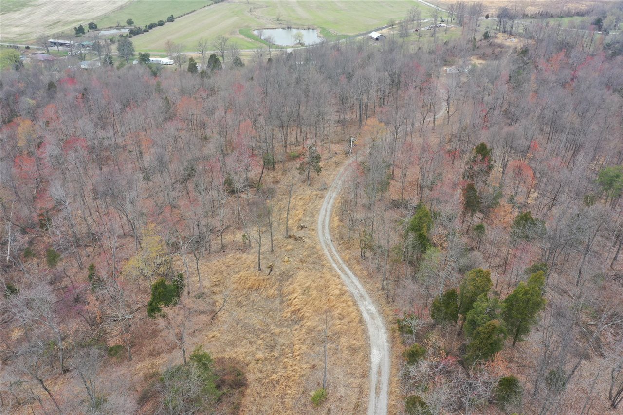 Clarkson, Kentucky, 42726, United States, ,Land,For Sale,1828562