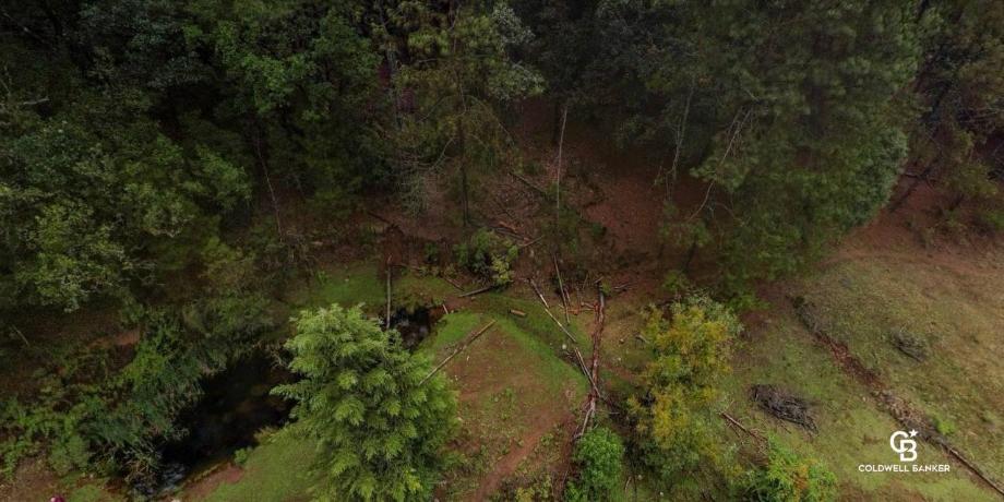 Valle de Bravo, Estado de méxico, 51200, Mexico, 1 Bedroom Bedrooms, ,Residential,For Sale,1721616