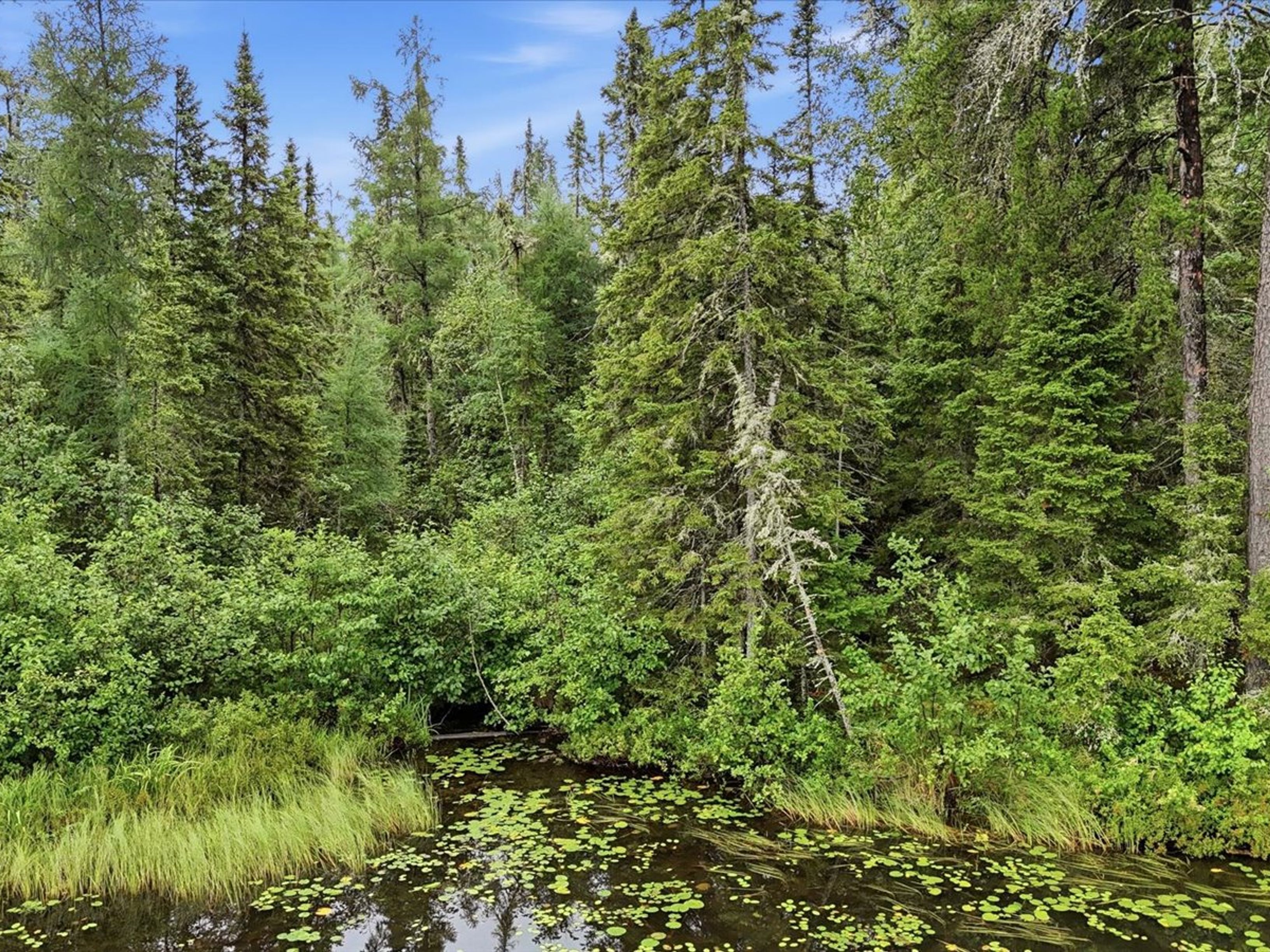  Northwoods Lake Estate on Joseph Lake - 物件實景