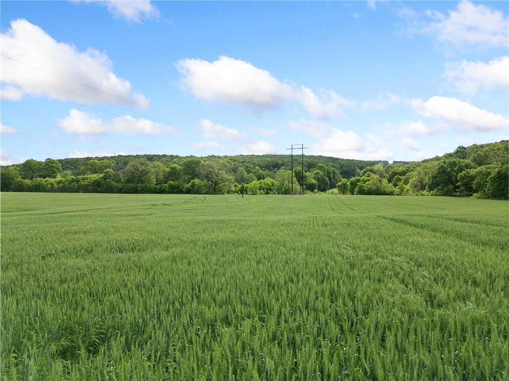 Alpena, Arkansas, 72611, United States, ,Land,For Sale,1903921