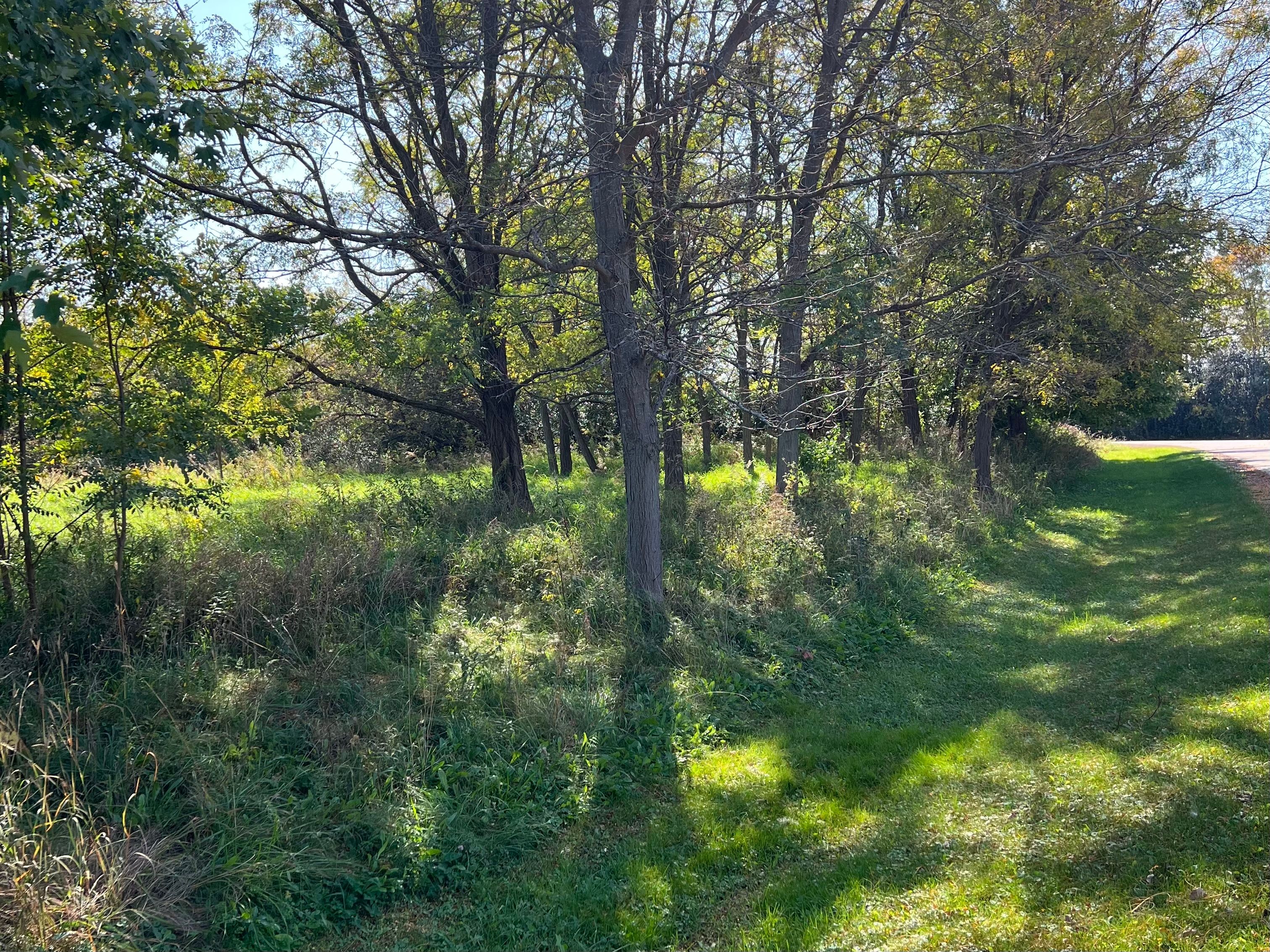  Discover the Perfect Setting to Build Your Dream Home on 5.27 Beautiful Acres - 物件實景