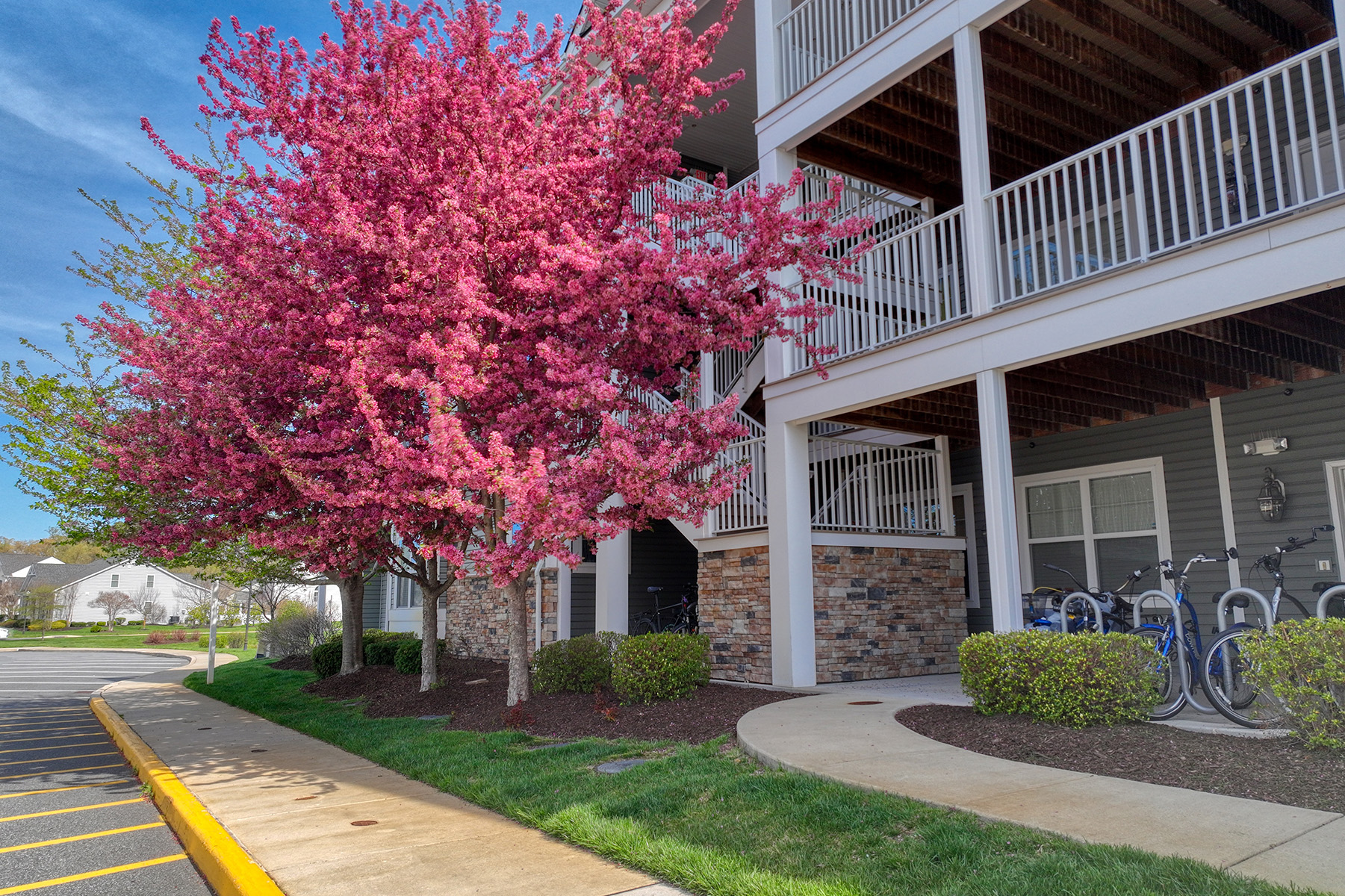  37670 Exeter Drive , 2 - 物件實景