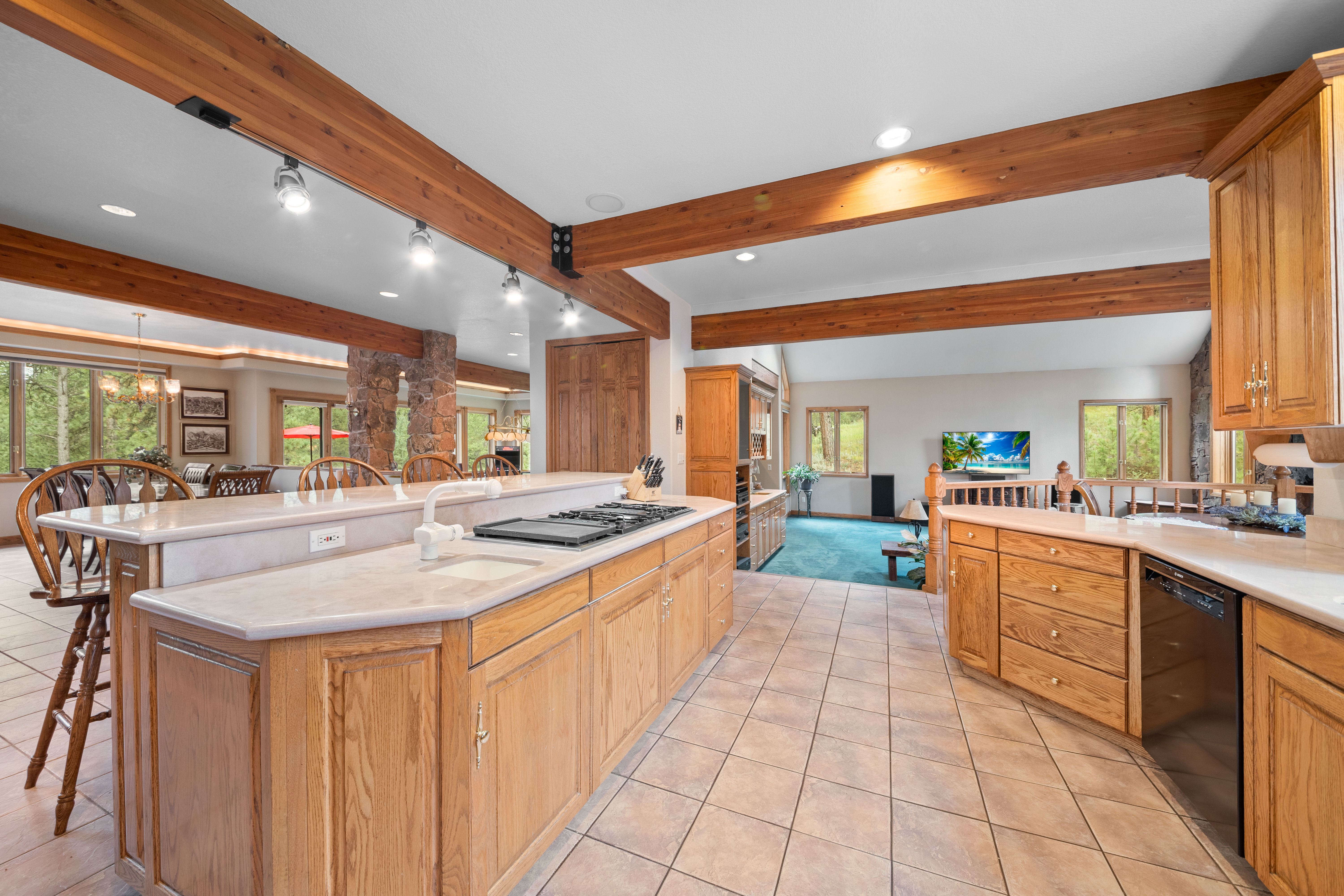  Perfect Blend of Space and Colorado Living That Backs to Pike National Forest - 物件實景