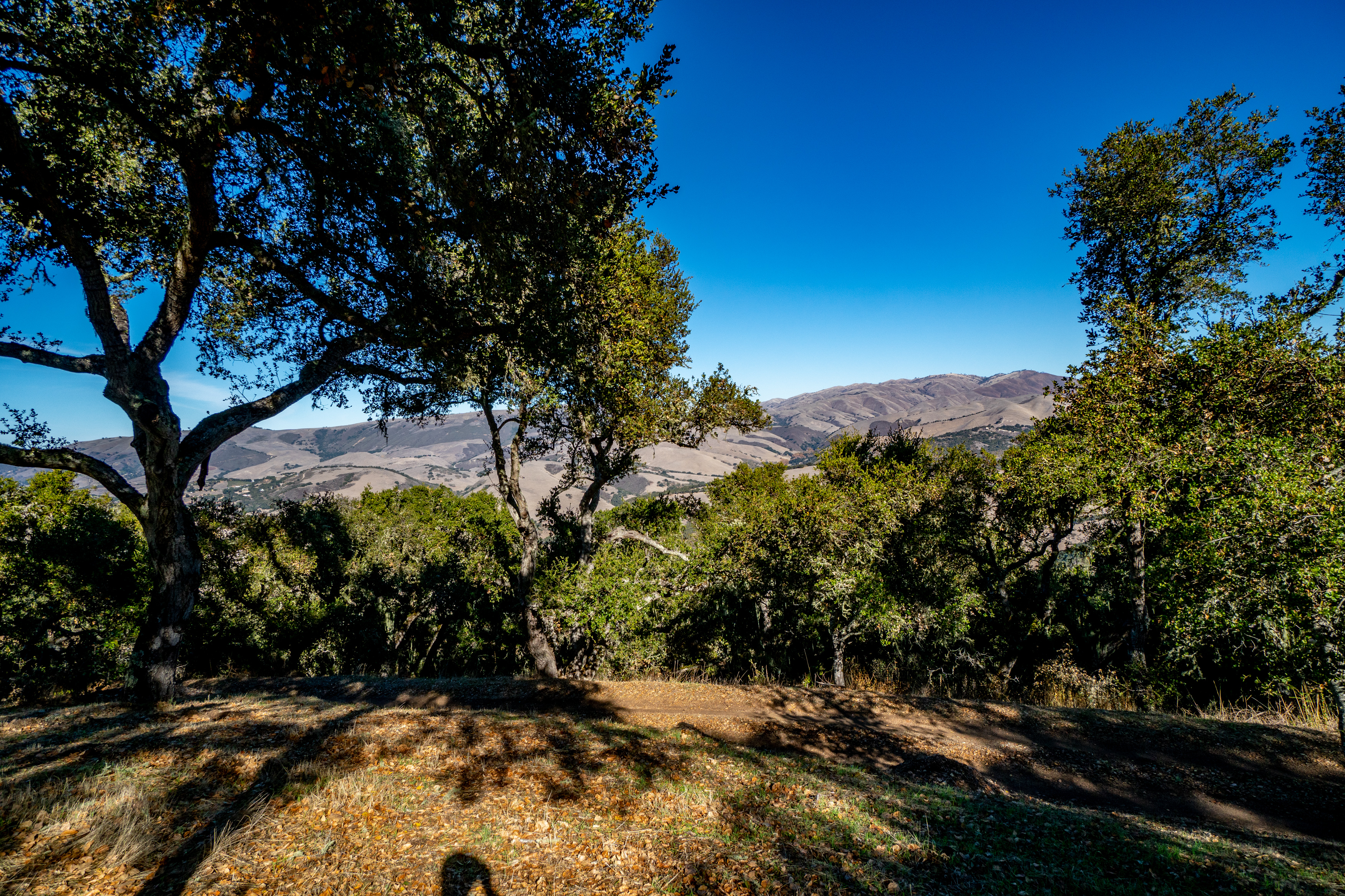  17114 Cachagua Road - 物件實景