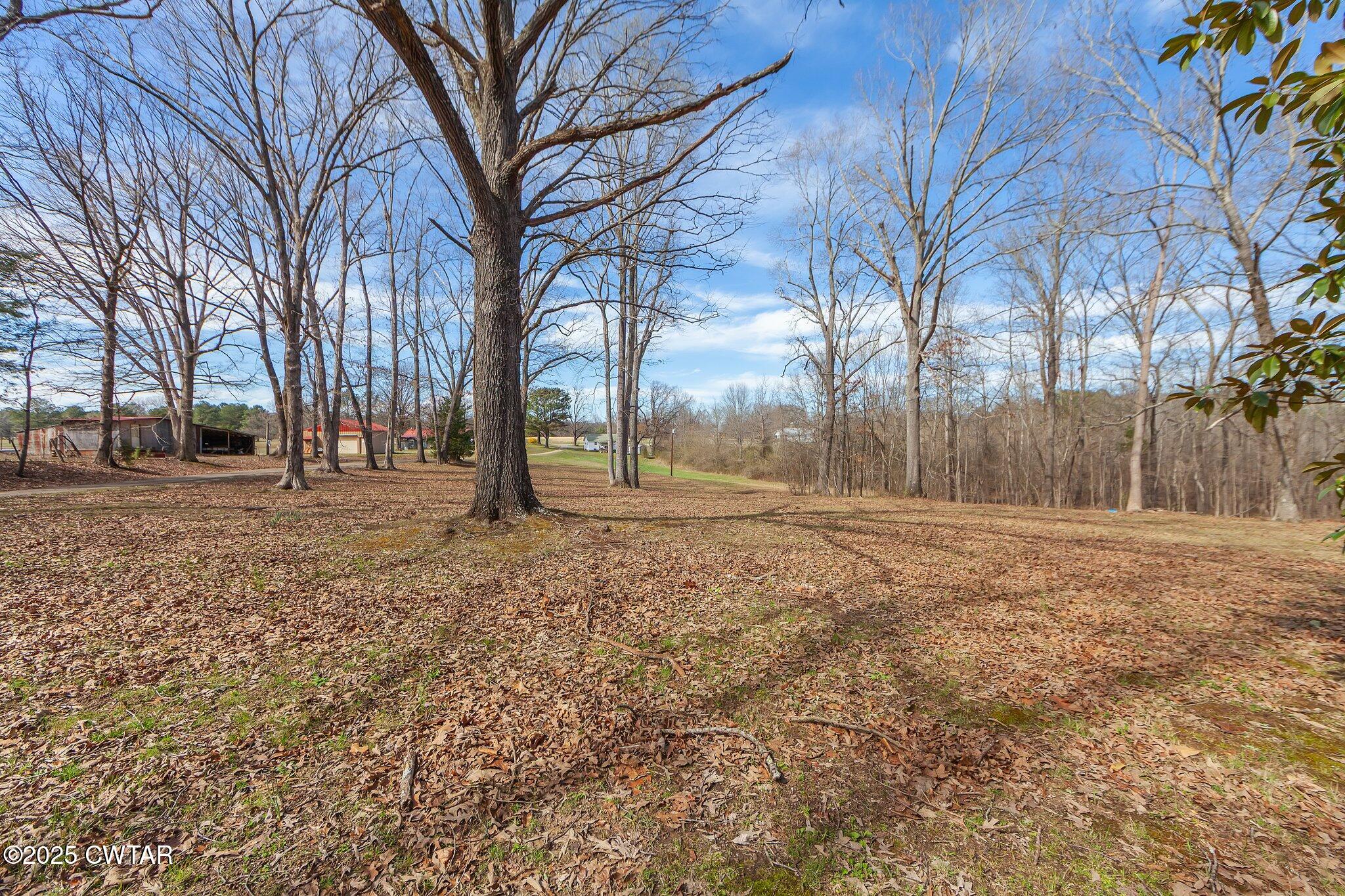 Beech Bluff, Tennessee, 38313, United States, 5 Bedrooms Bedrooms, ,3 BathroomsBathrooms,Residential,For Sale,1743753