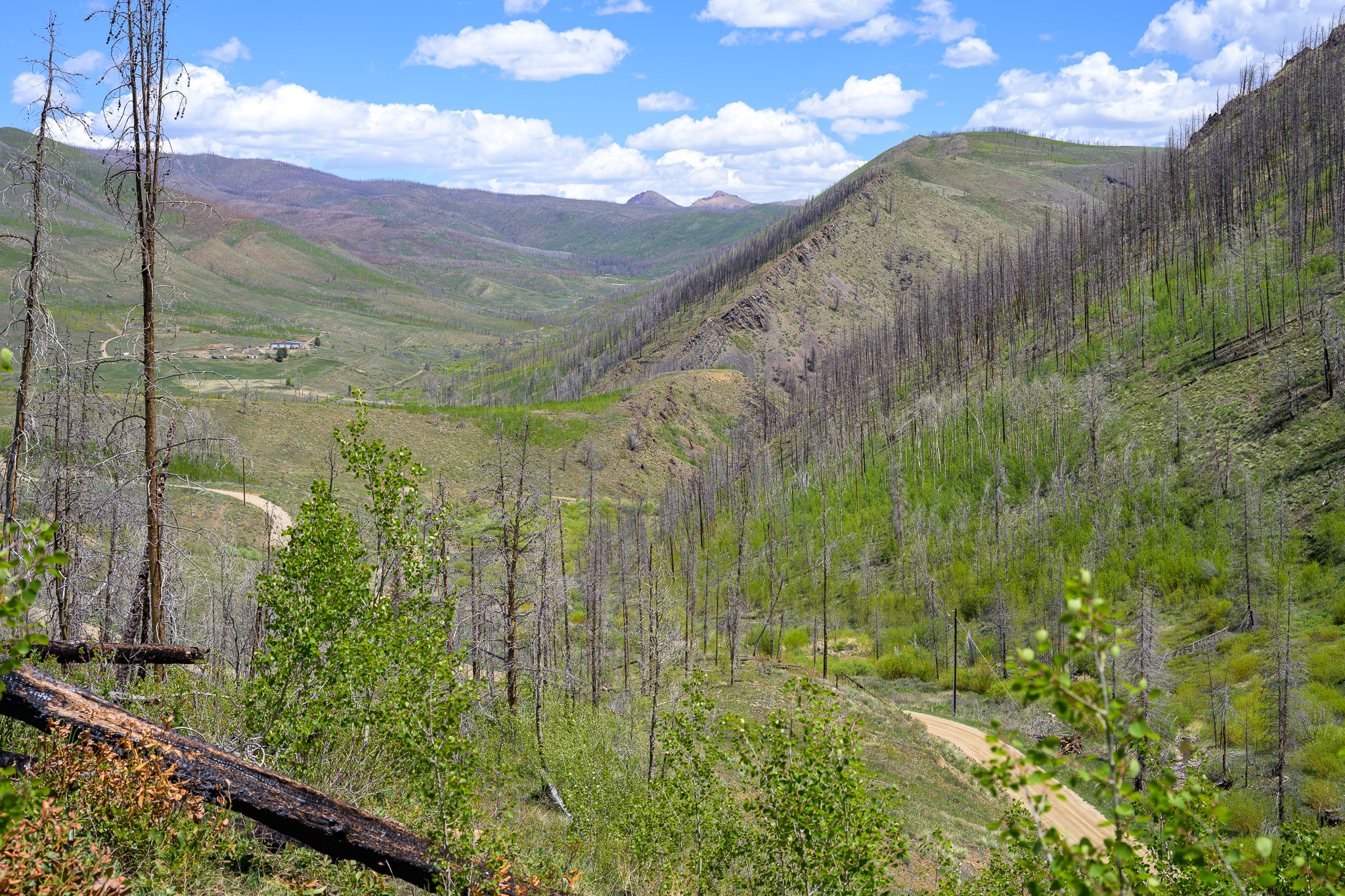  811 Gcr 408w, Granby, CO, 80446 - 物件實景