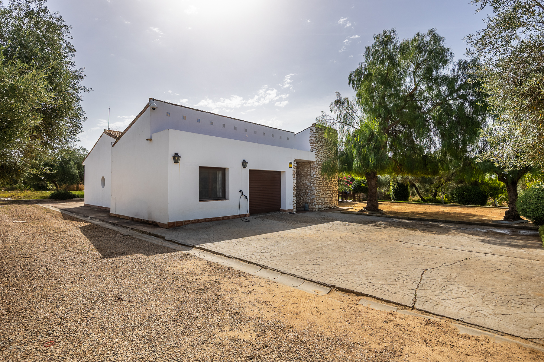  Exclusive equestrian estate next to the Pre-Coto de Doñana - 物件實景