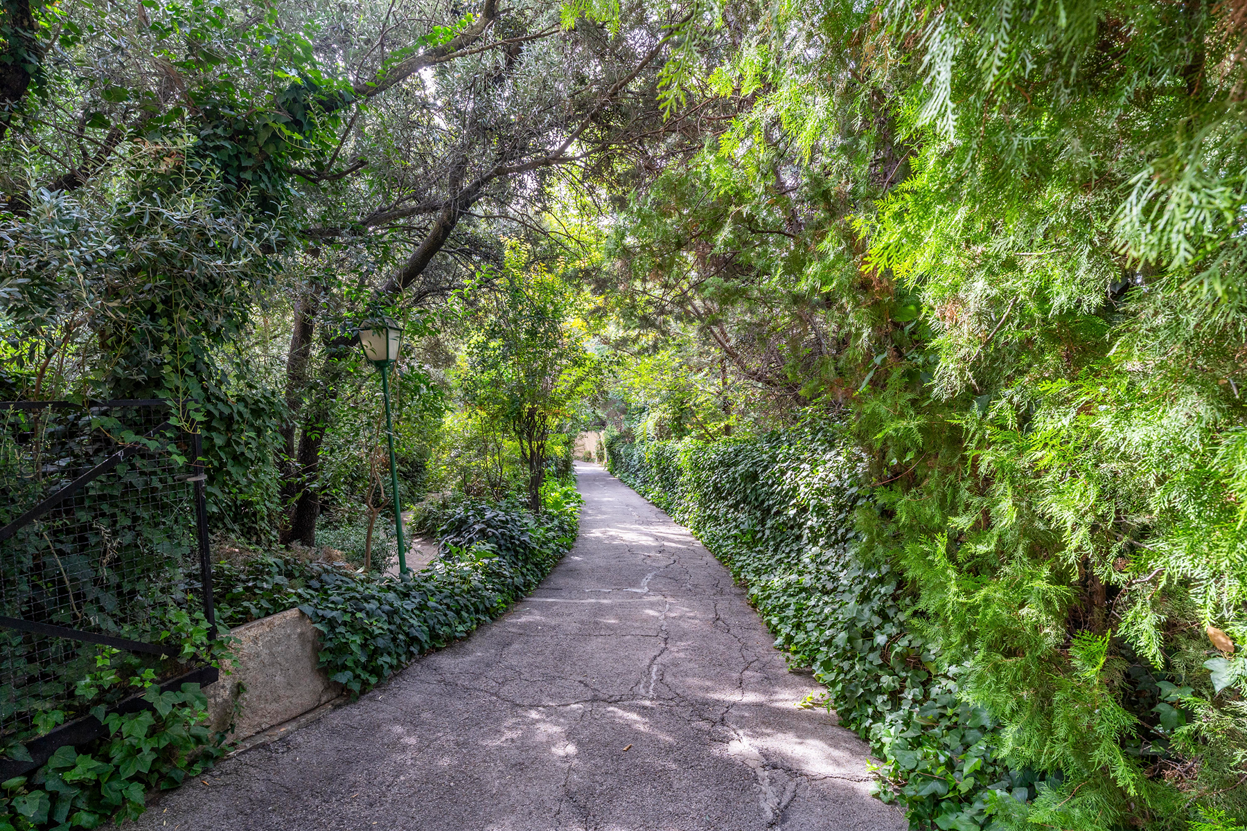  1,695 m² residence on a 4,873 m² plot in Puerta de Hierro - 物件實景