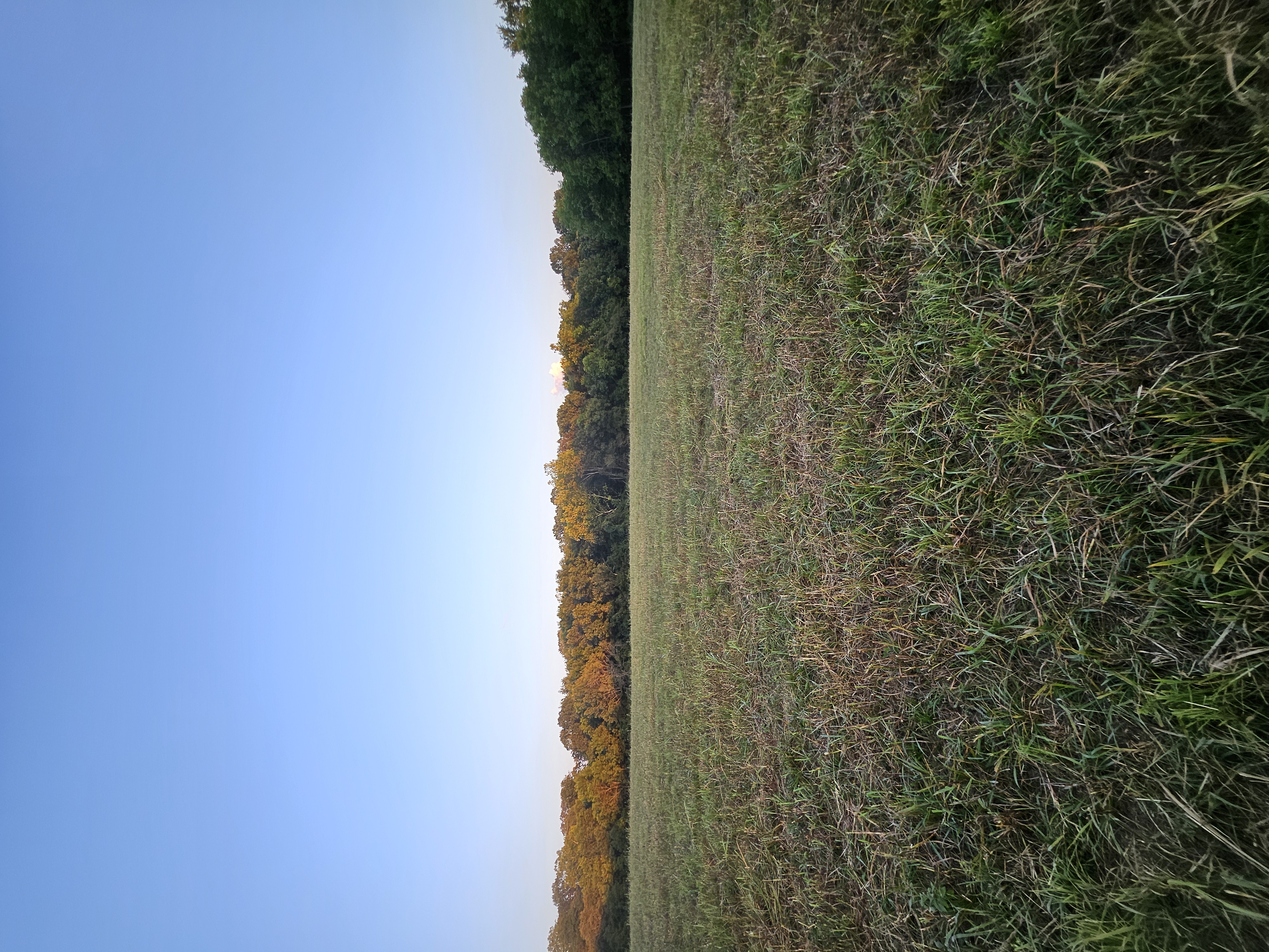 Pierce City, Missouri, 65723, United States, 5 Bedrooms Bedrooms, ,3 BathroomsBathrooms,Residential,For Sale,1984282