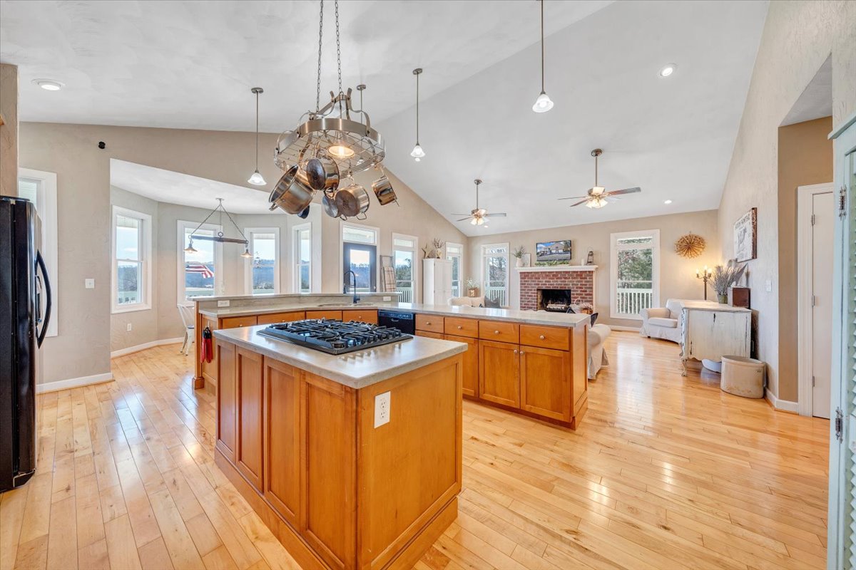 Buchanan, Virginia, 24066, United States, 5 Bedrooms Bedrooms, ,4 BathroomsBathrooms,Residential,For Sale,1900741