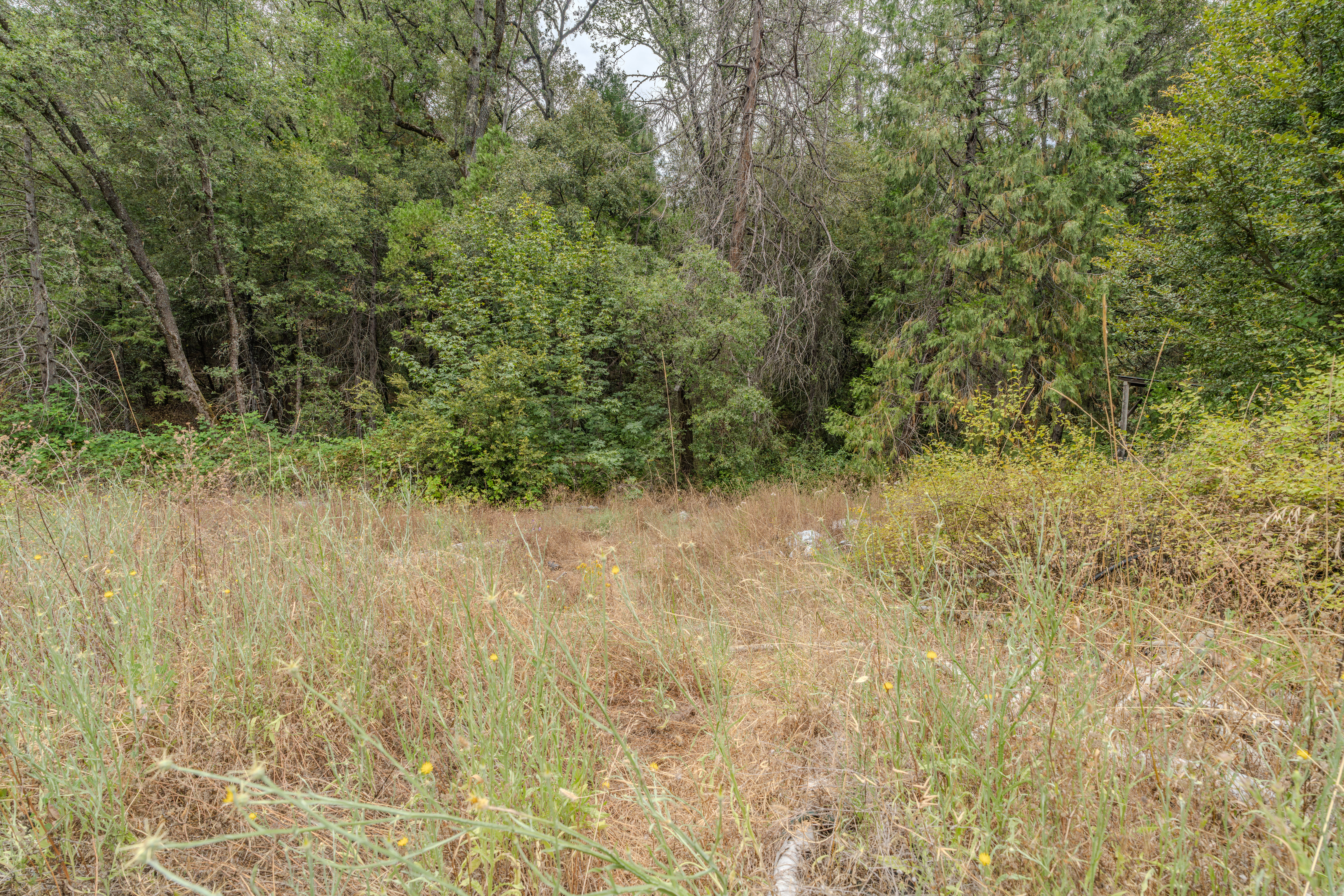  18101 Old River Road, Fiddletown, CA 95629 - 物件實景