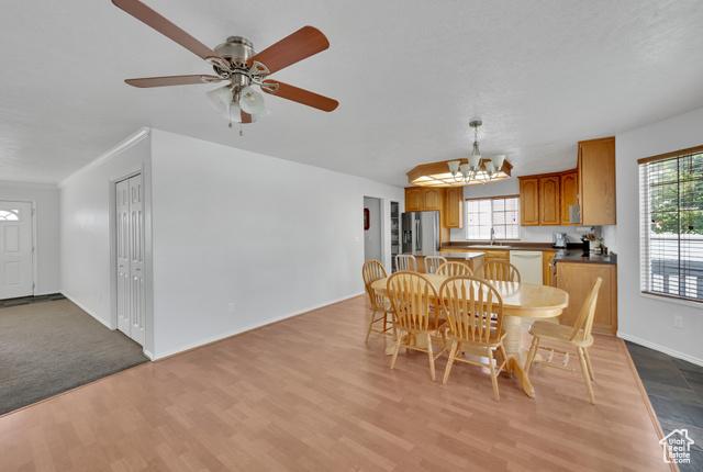 Spanish Fork, Utah, 84660, United States, 5 Bedrooms Bedrooms, ,3 BathroomsBathrooms,Residential,For Sale,1979281