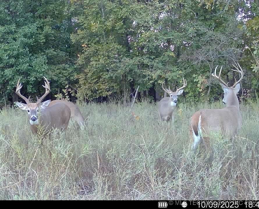 Haskell, Oklahoma, 74436, United States, ,Residential,For Sale,1989173