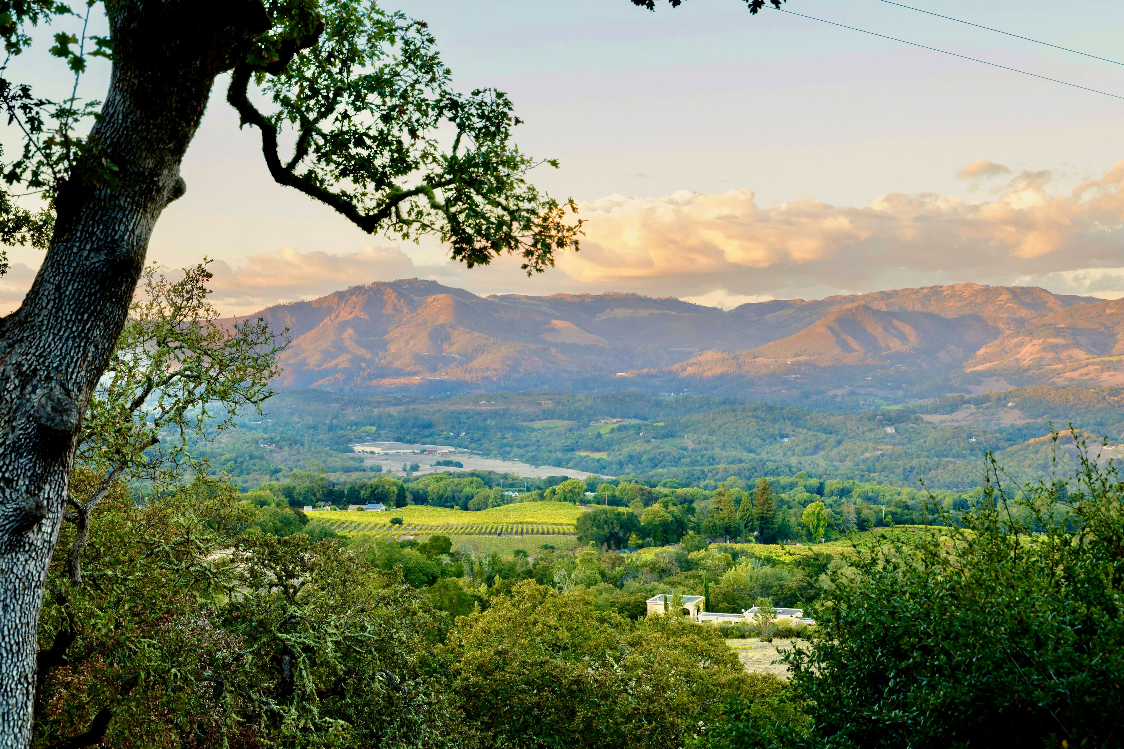  6640 Sonoma Mountain Road - 物件實景