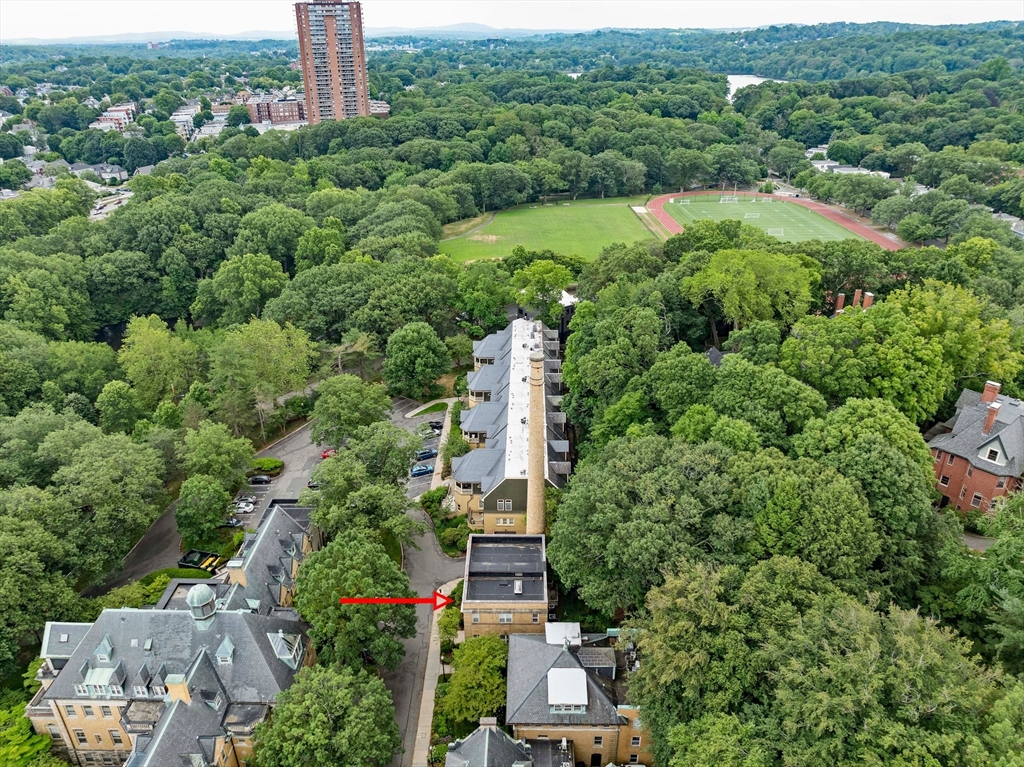 Brookline, Massachusetts, 02445, United States, 3 Bedrooms Bedrooms, ,2 BathroomsBathrooms,Residential,For Sale,1891424