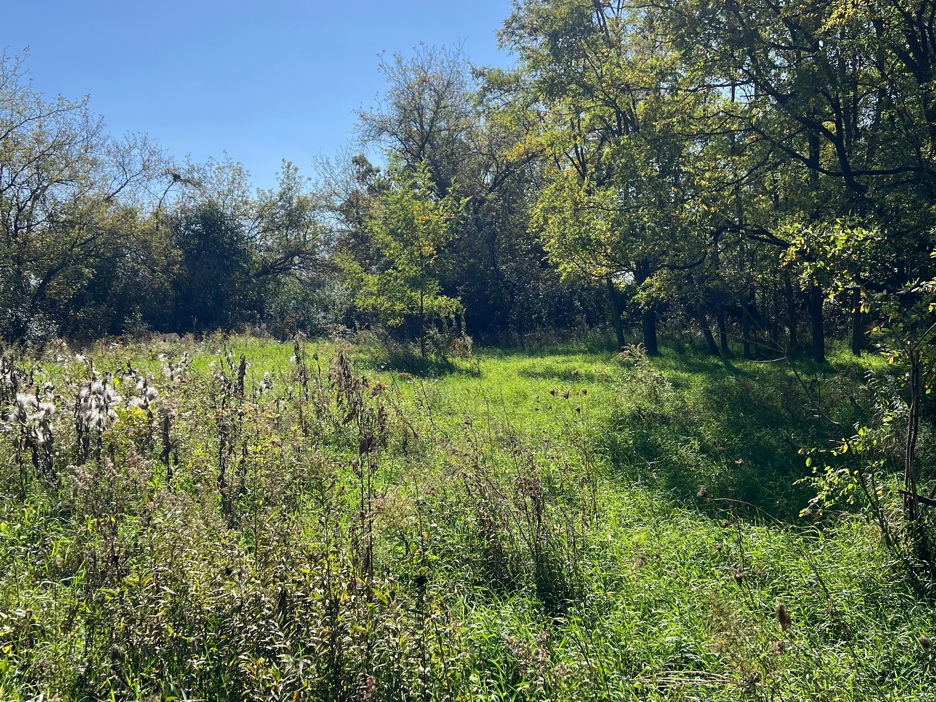  Discover the Perfect Setting to Build Your Dream Home on 5.27 Beautiful Acres - 物件實景