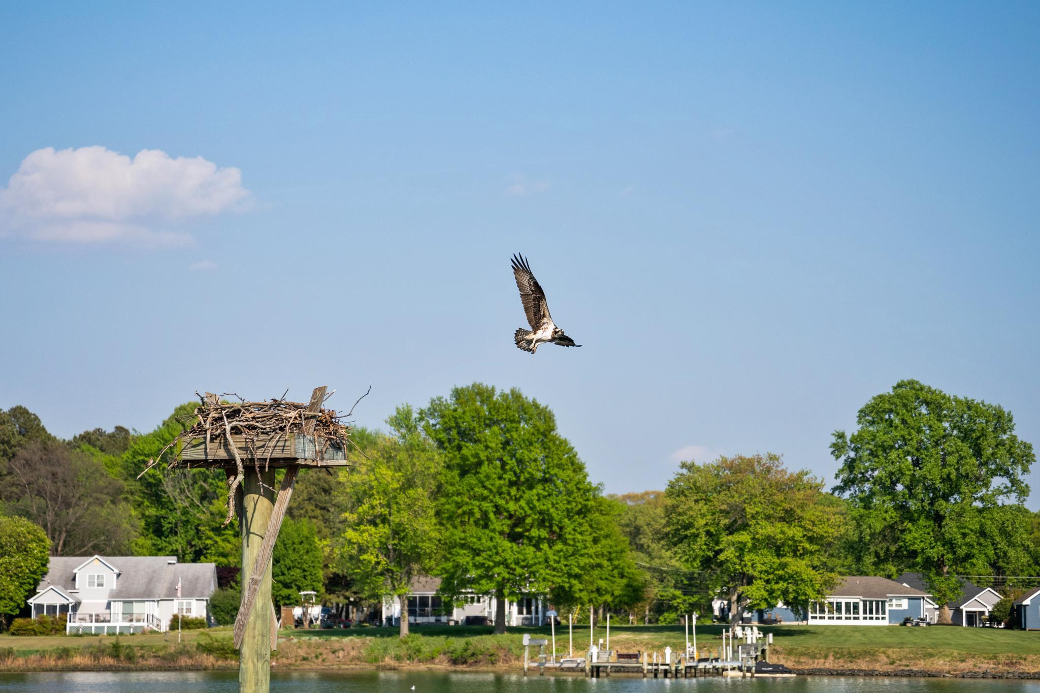  330 Serenity Lane, Chester, MD, 21619 - 物件實景