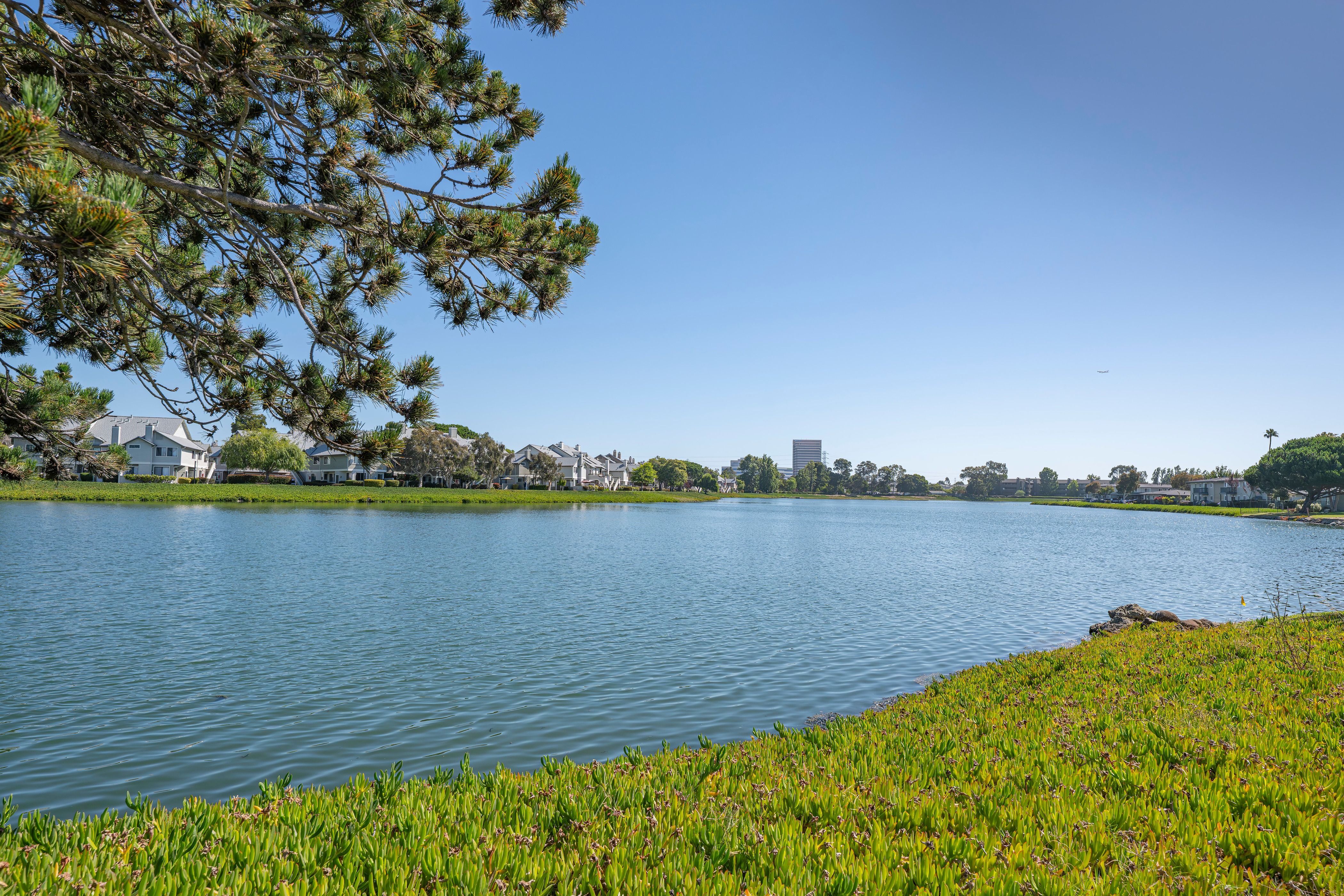  Peaceful End-Unit Condo - 物件實景