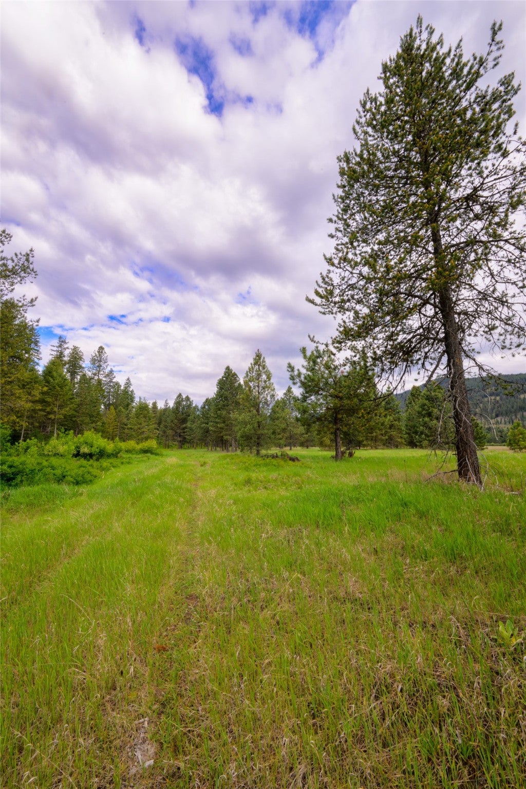 St Regis, Montana, 59866, United States, ,Land,For Sale,1848990