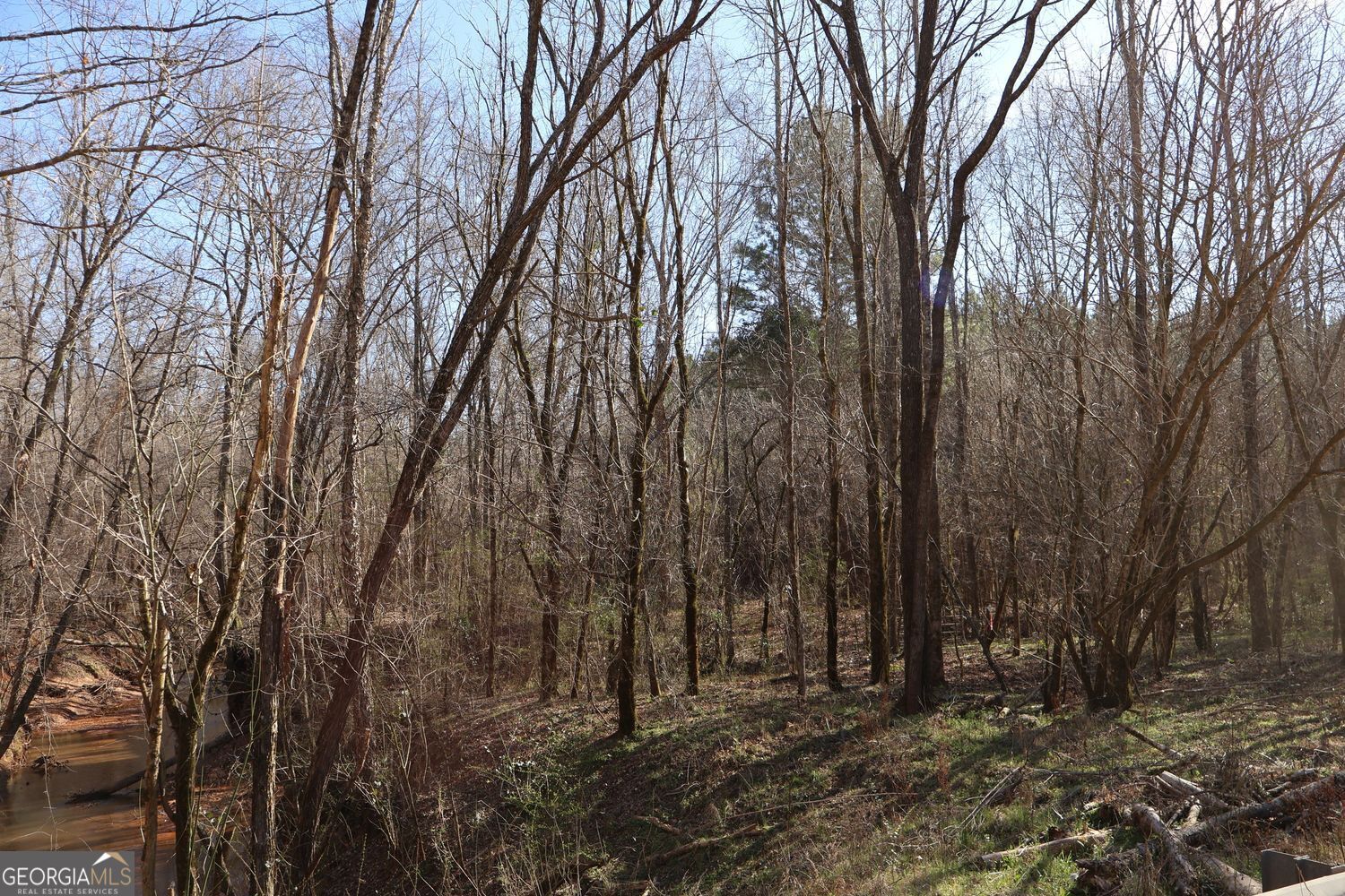Forsyth, Georgia, 31029, United States, ,Land,For Sale,1907989