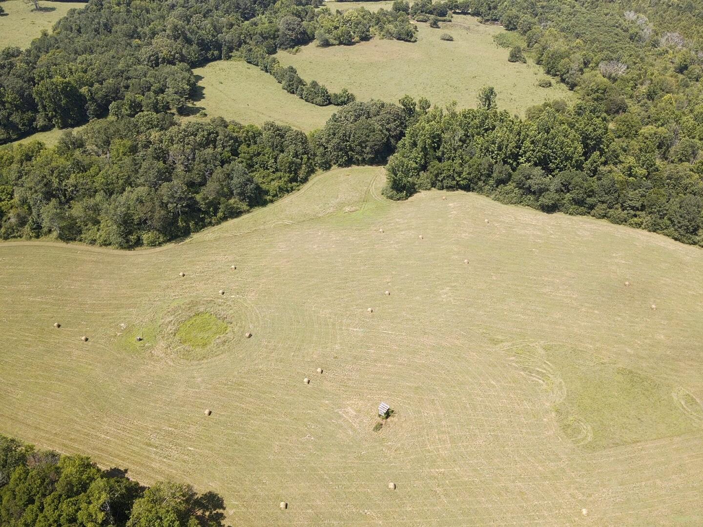 Bryant, Alabama, 35958, United States, ,Land,For Sale,1982684